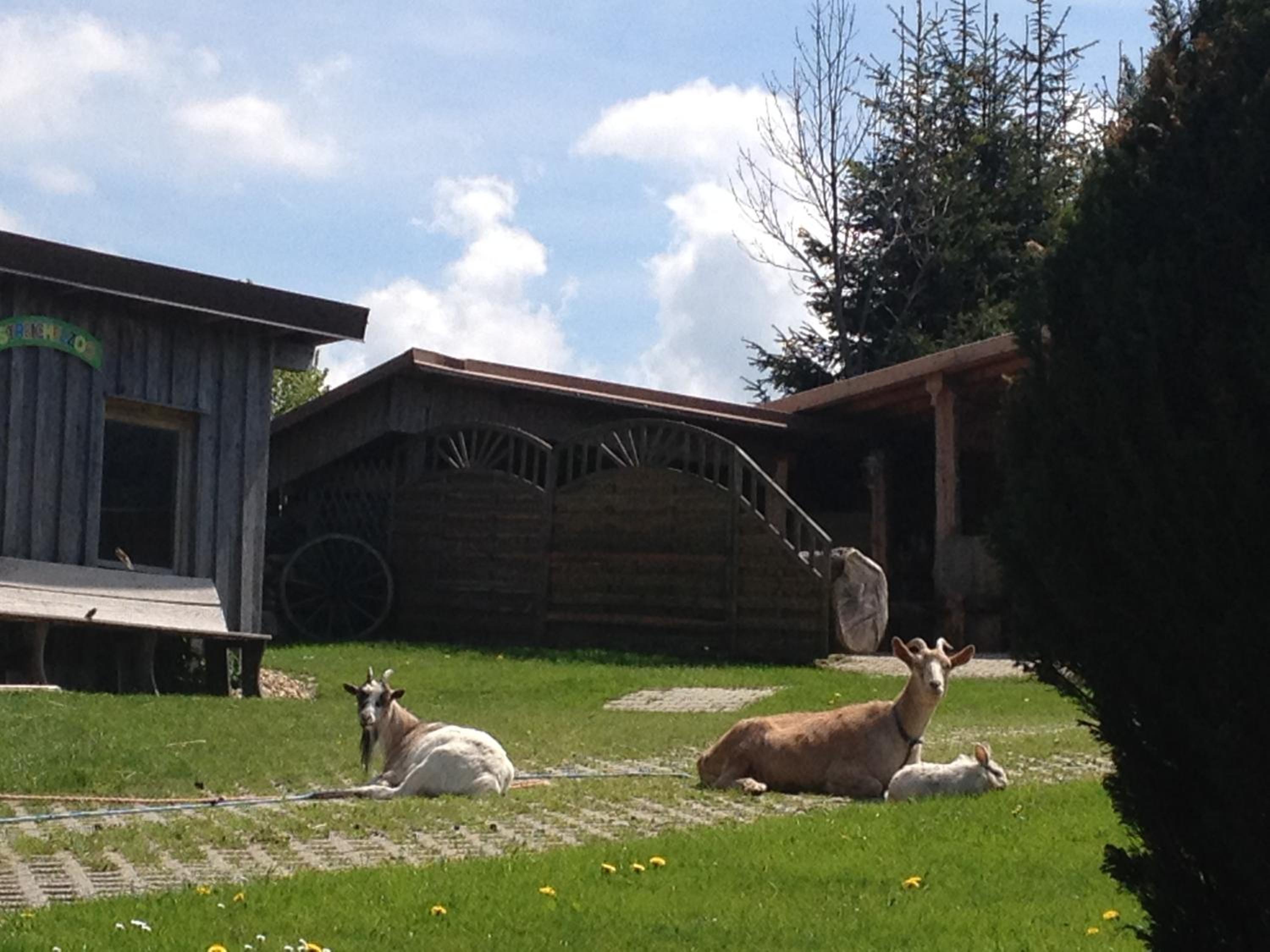 Zur neuen Post Landgasthof