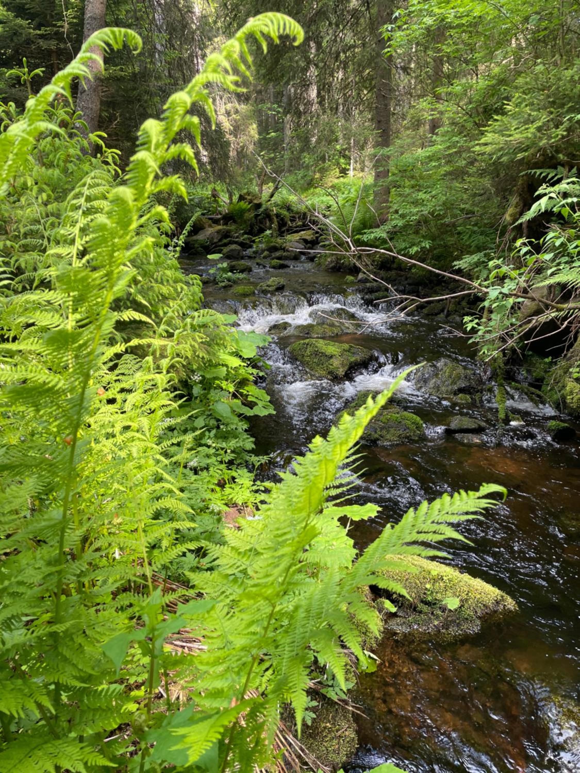 Photo 22