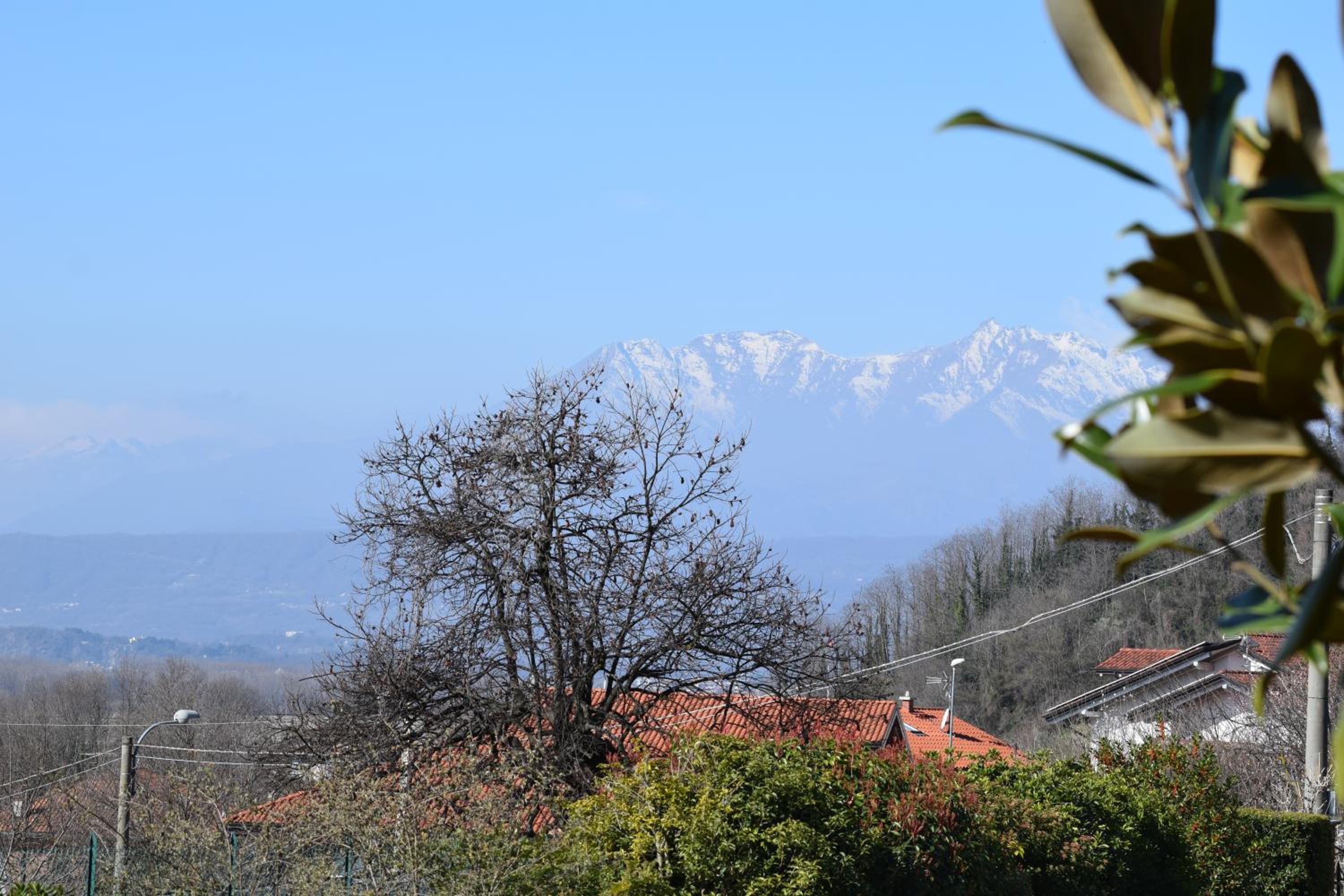 MyVilla Suites