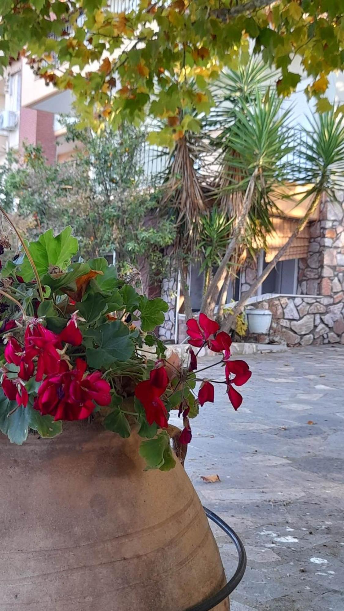 Villa Dimitrios