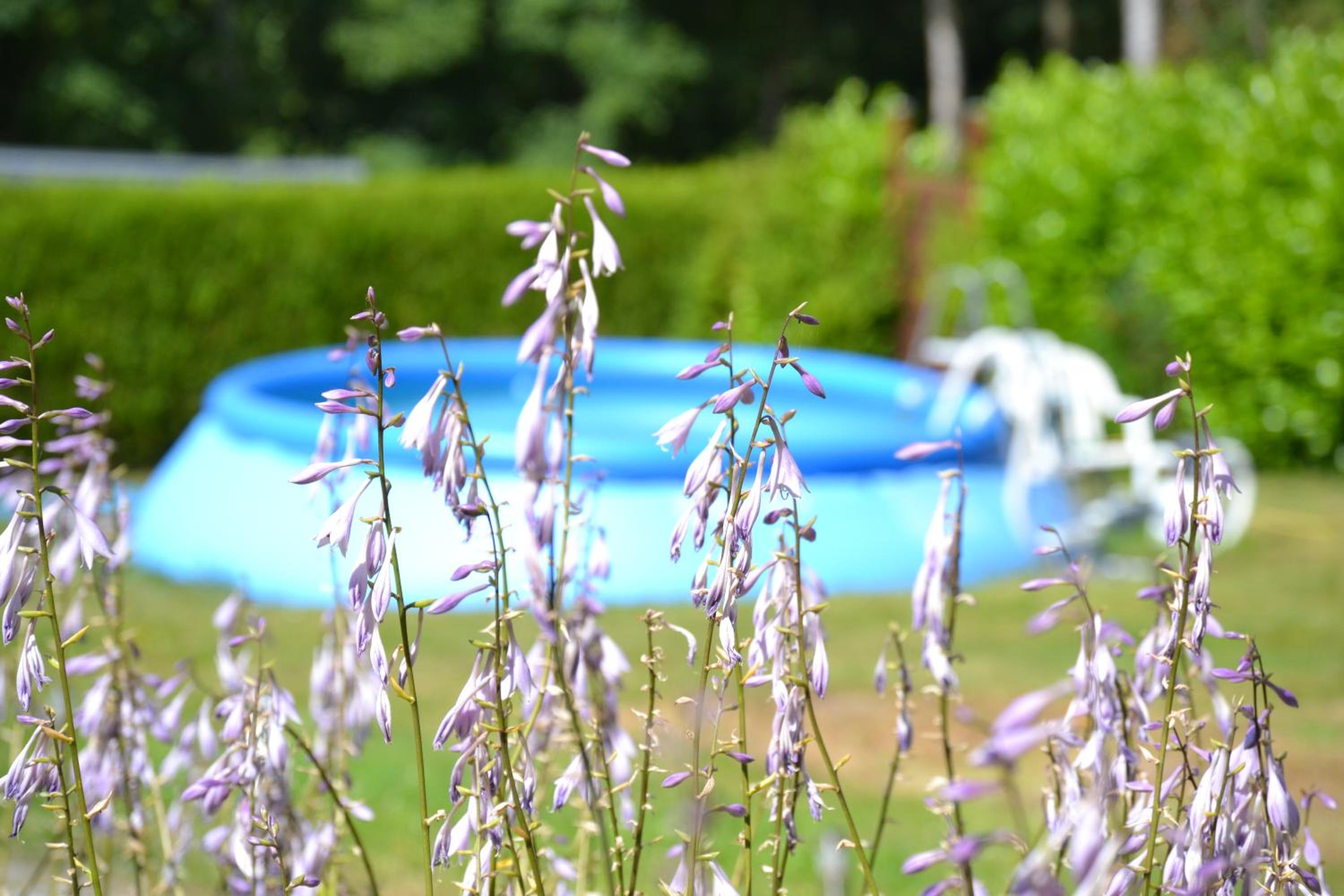Naturist B&B The Little Paradise