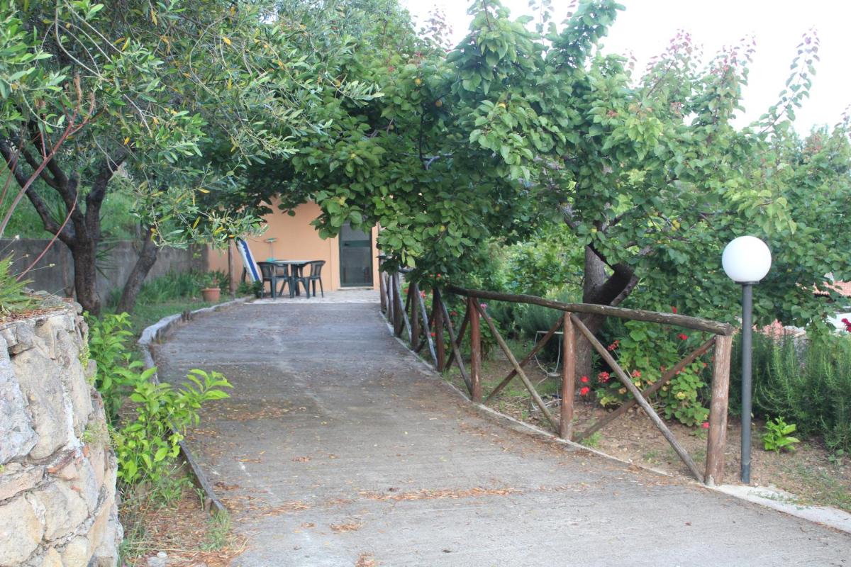 Photo 40