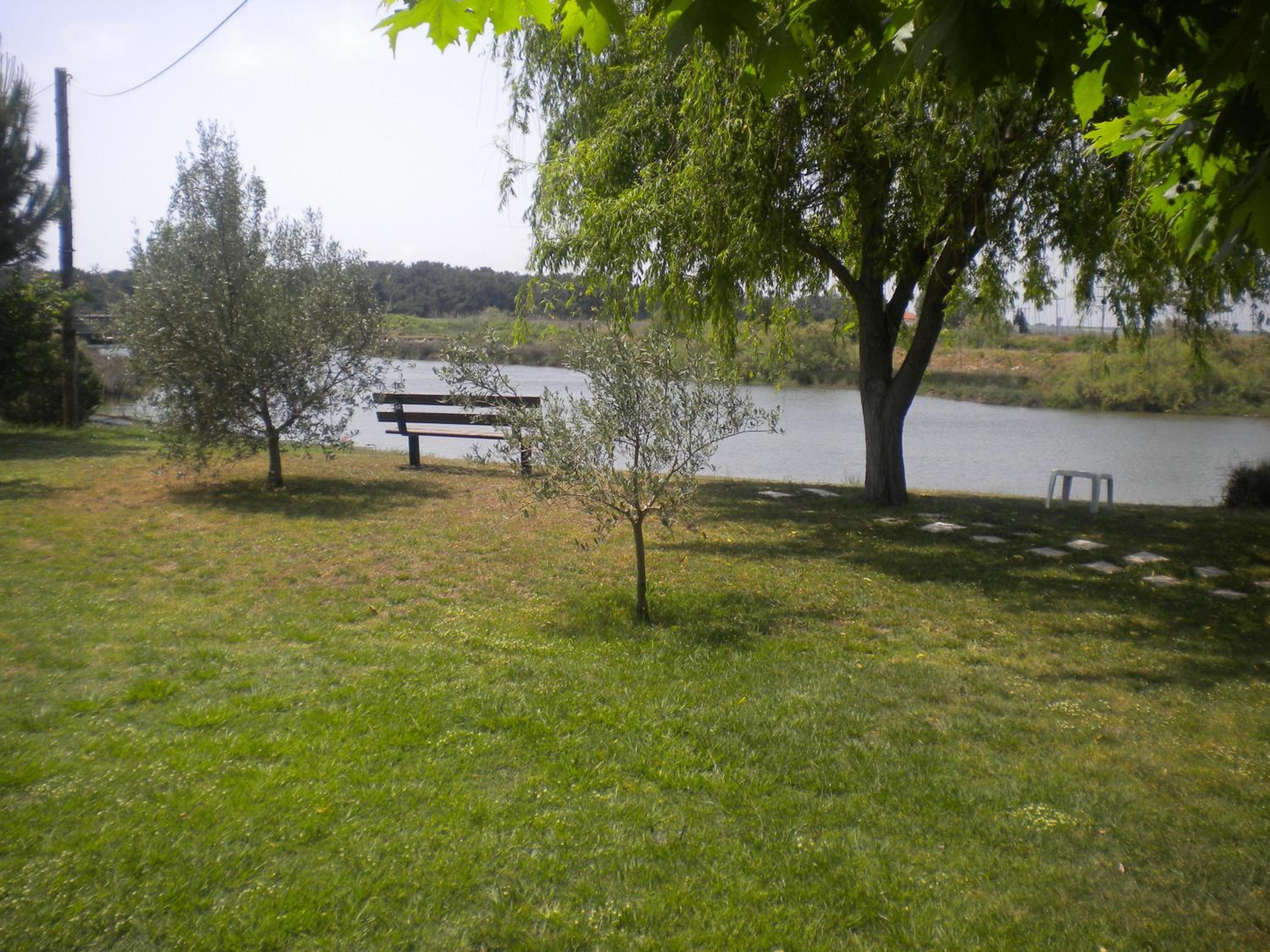 Photo 50