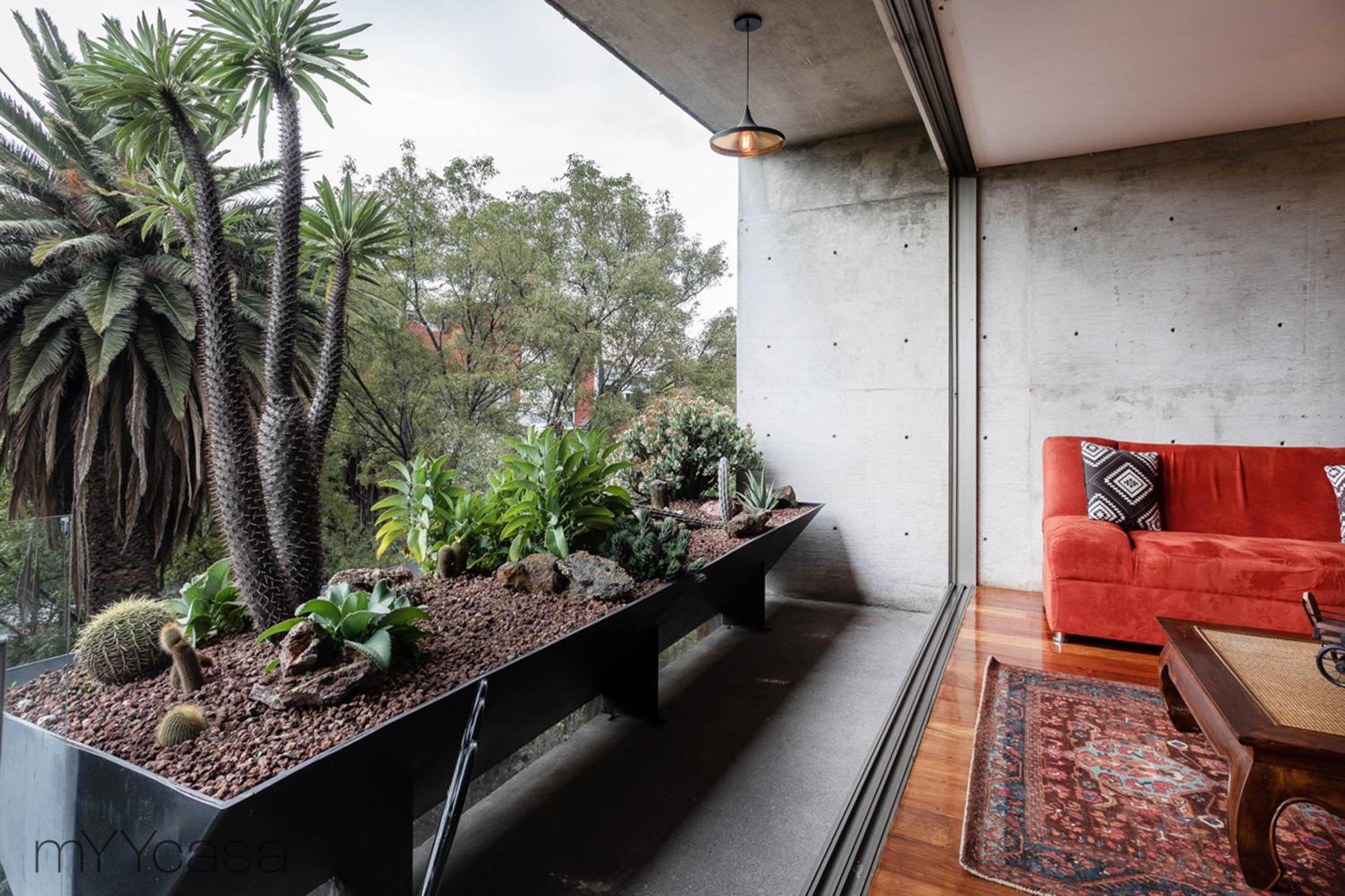 Destination Condesa @Tamaulipas Loft photo 3