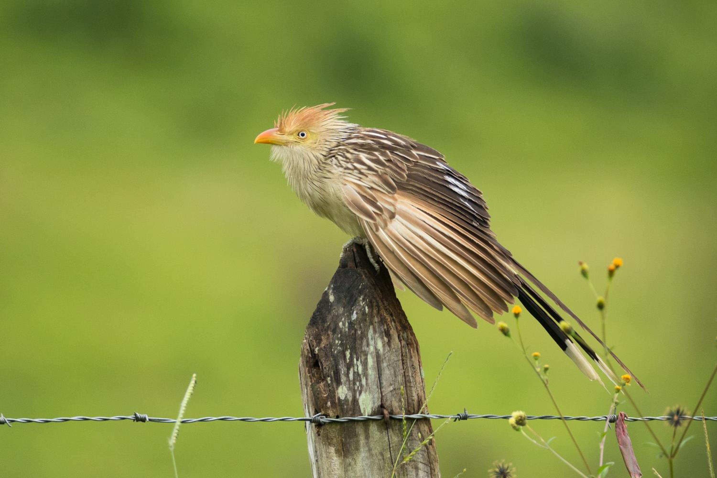 Photo 24