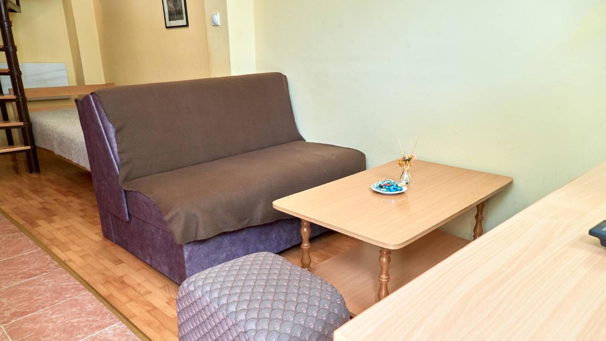 Janković Apartmani u centru view 2