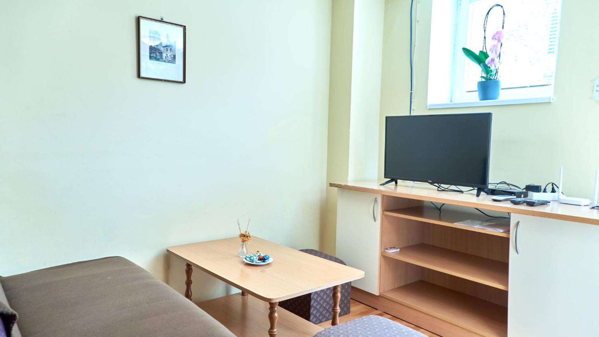 Janković Apartmani u centru view 3