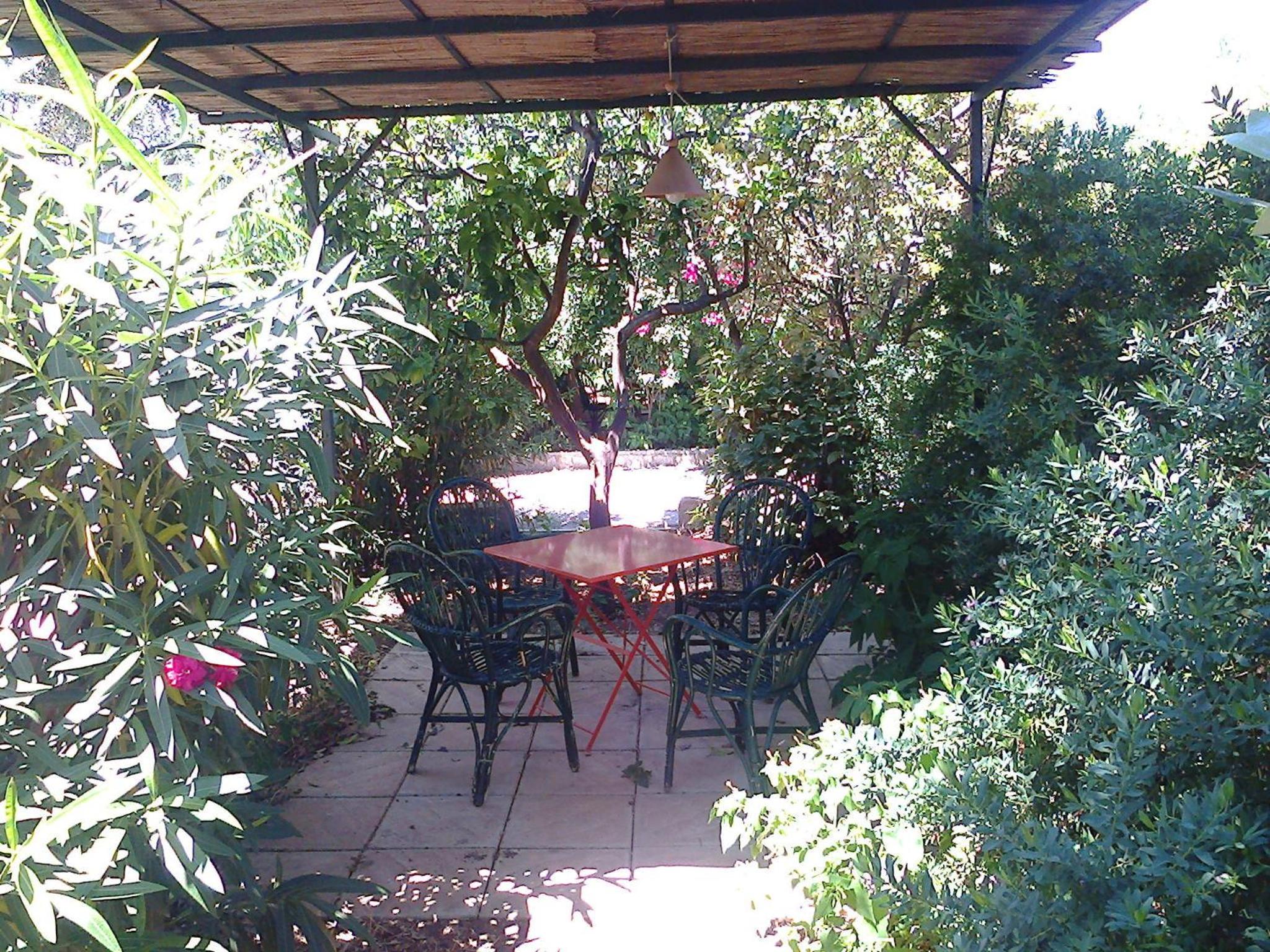 Photo 21