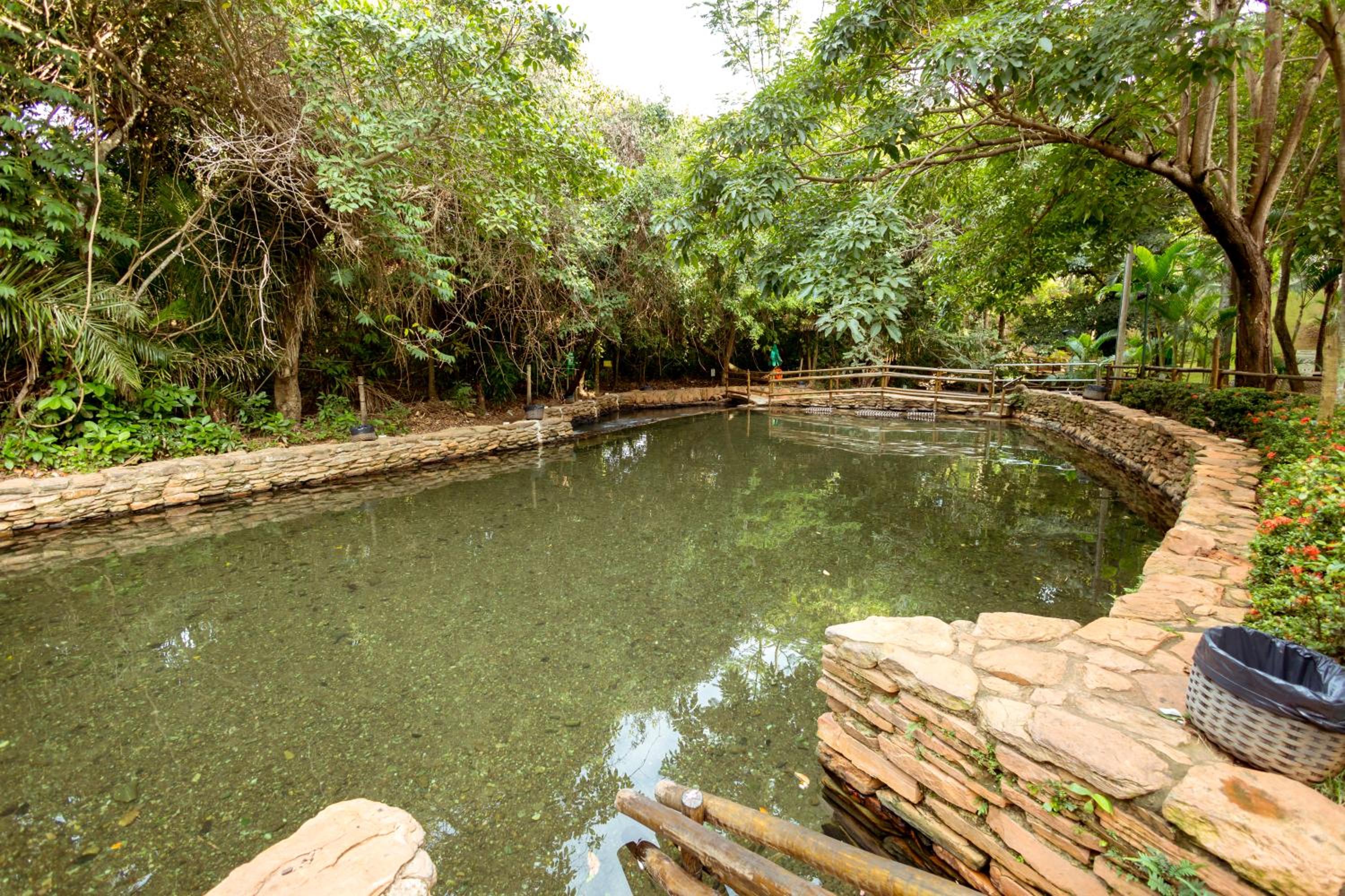 Thermas Paradise - Rio Quente - Apto 2 quartos com Suíte