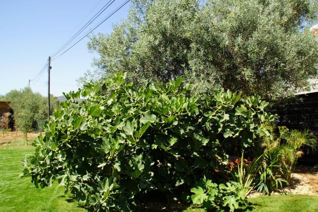 Laranjal Farm House