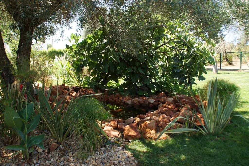 Laranjal Farm House