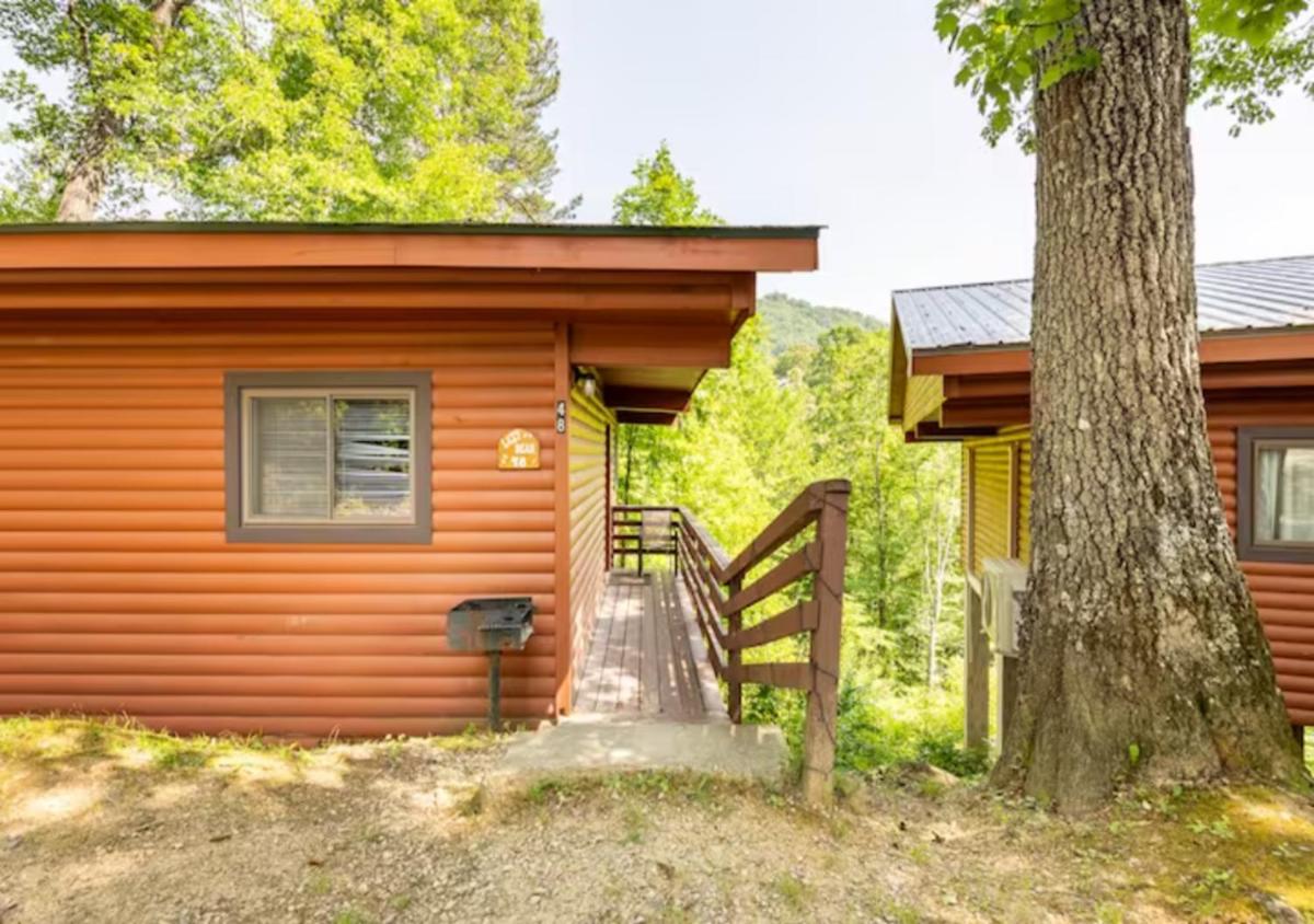 Lazy Bear Cabin near Nantahala Outdoor Center and Bryson City view 3