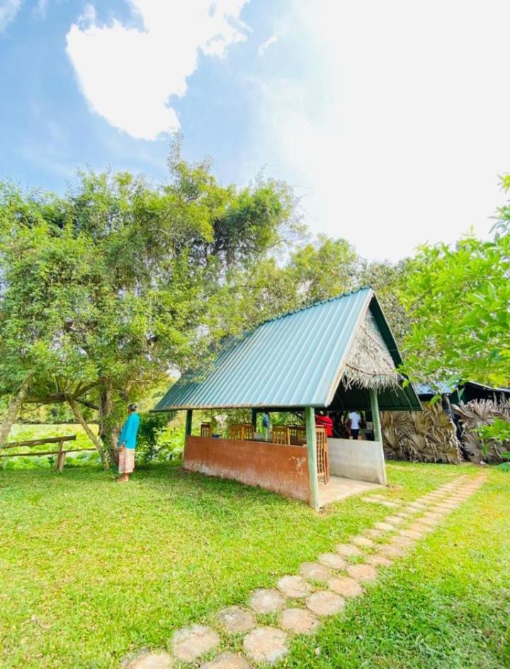 Meegahapokuna Resort view 2