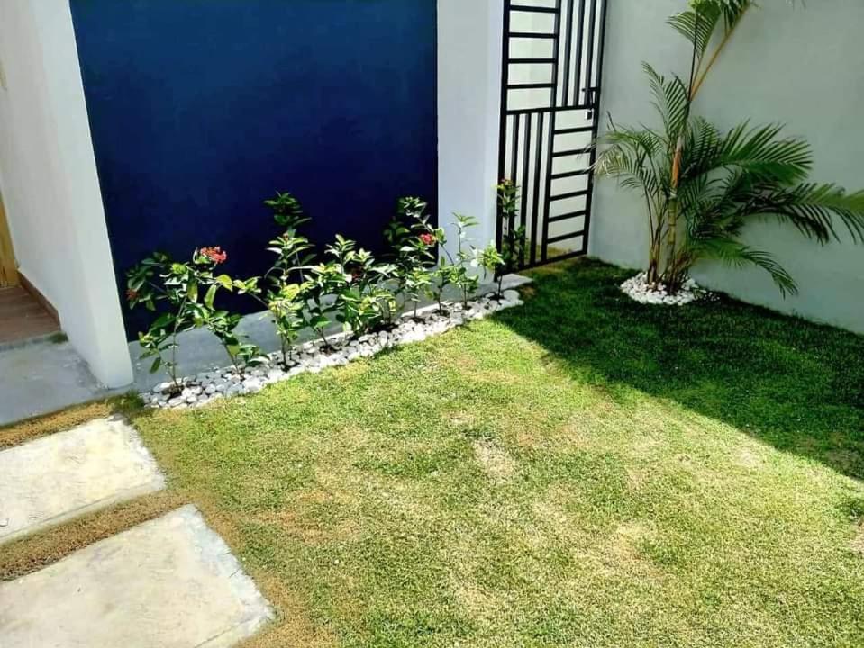 Ark Villa