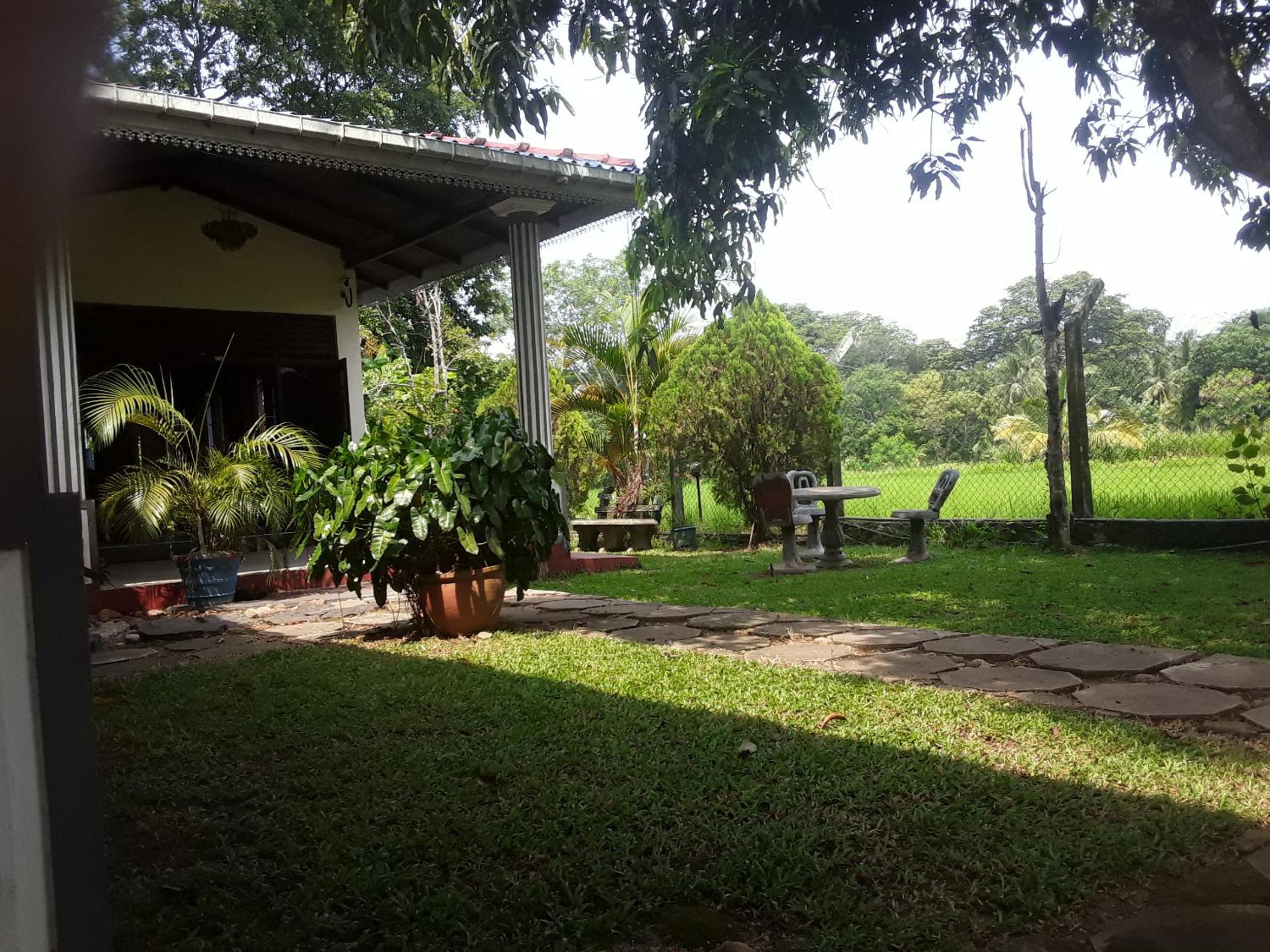 Photo 41