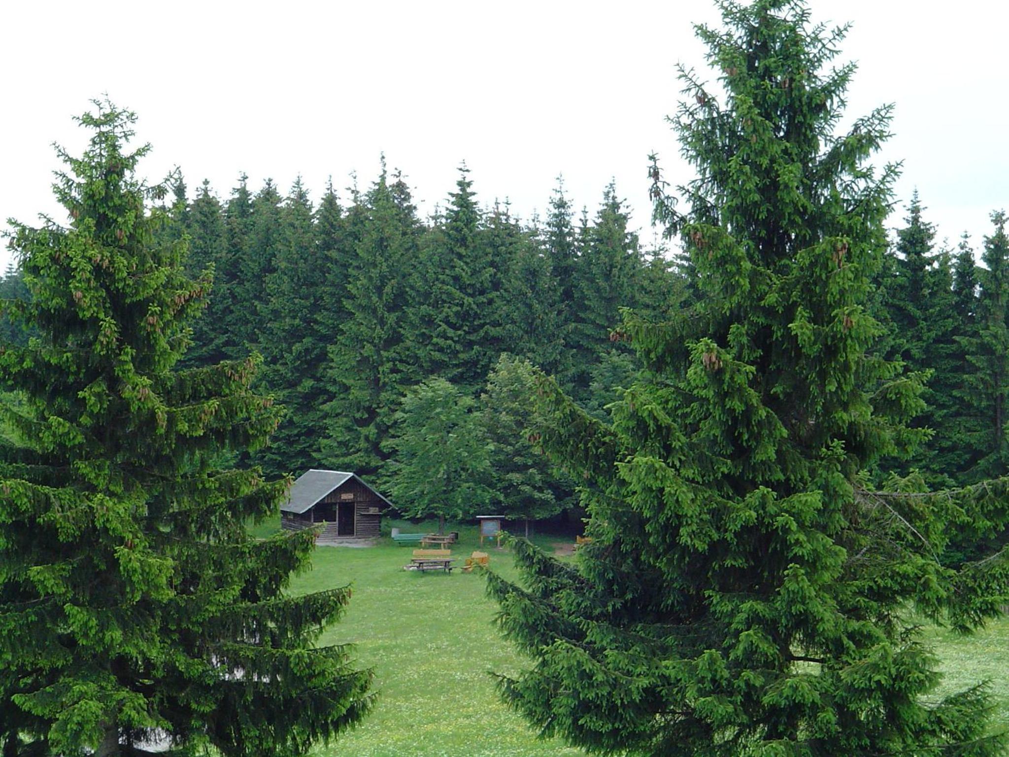 Apartments und Bistro Zum Glasmacher