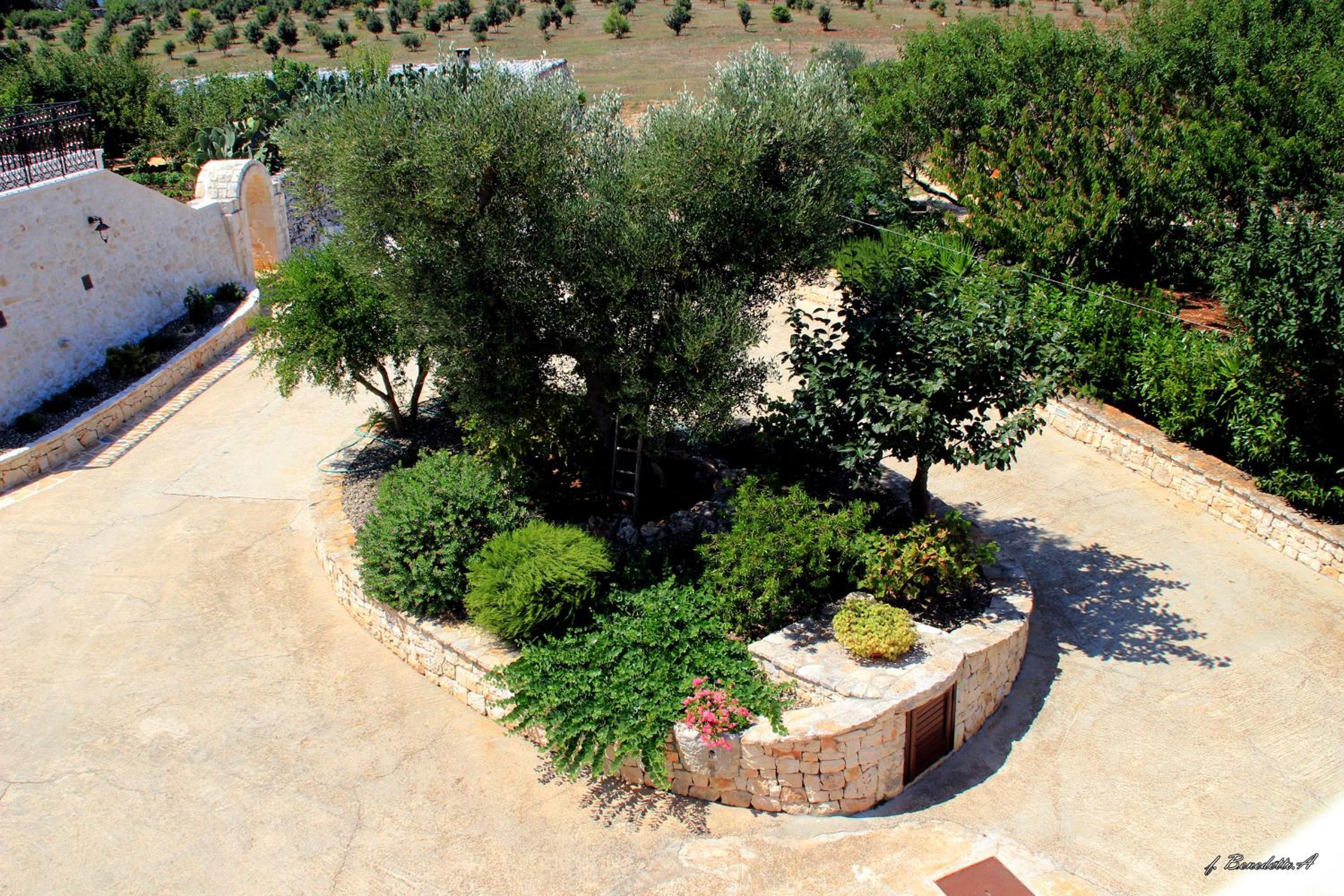Masseria Peppeturro