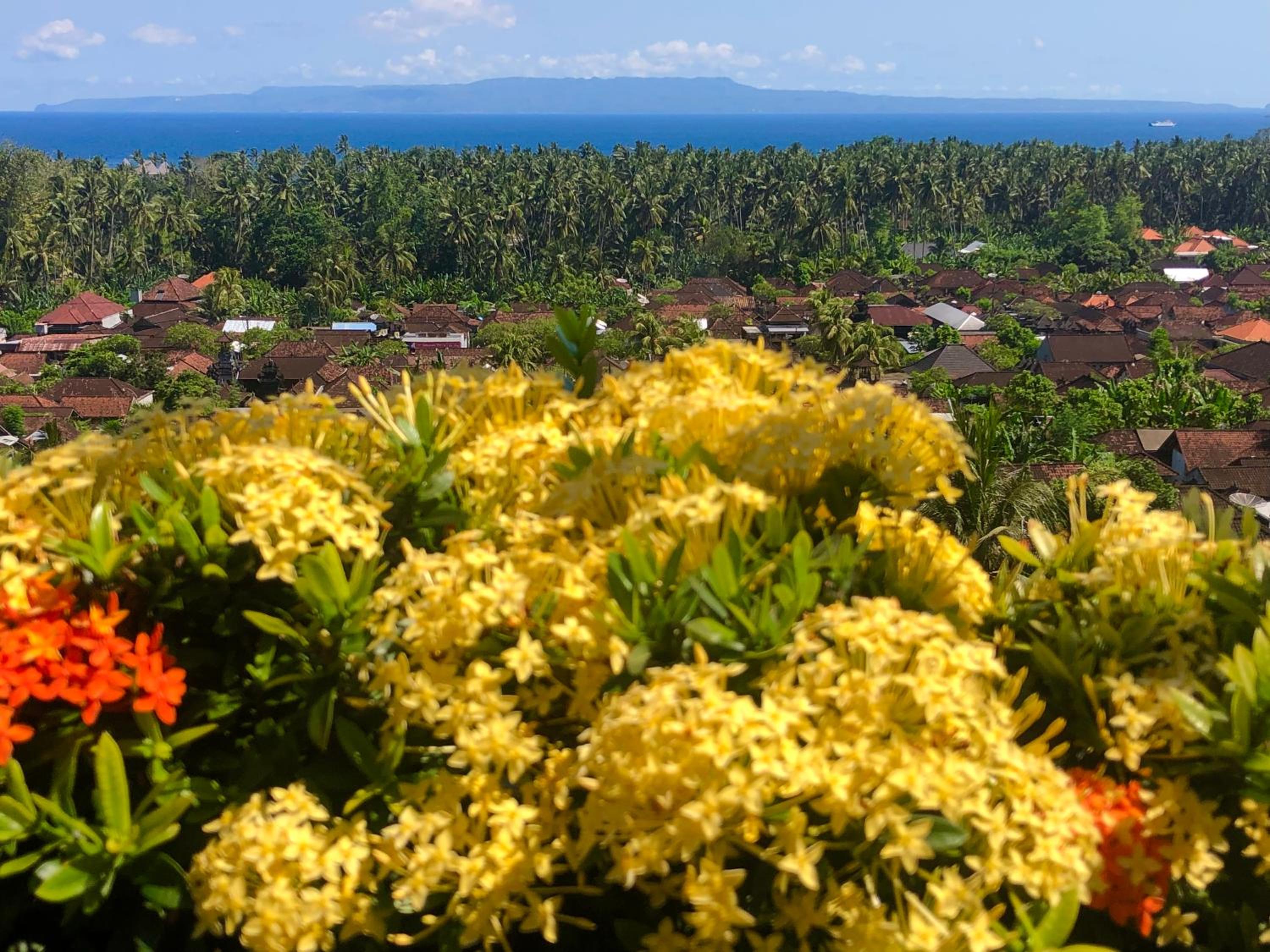 Maya Villa