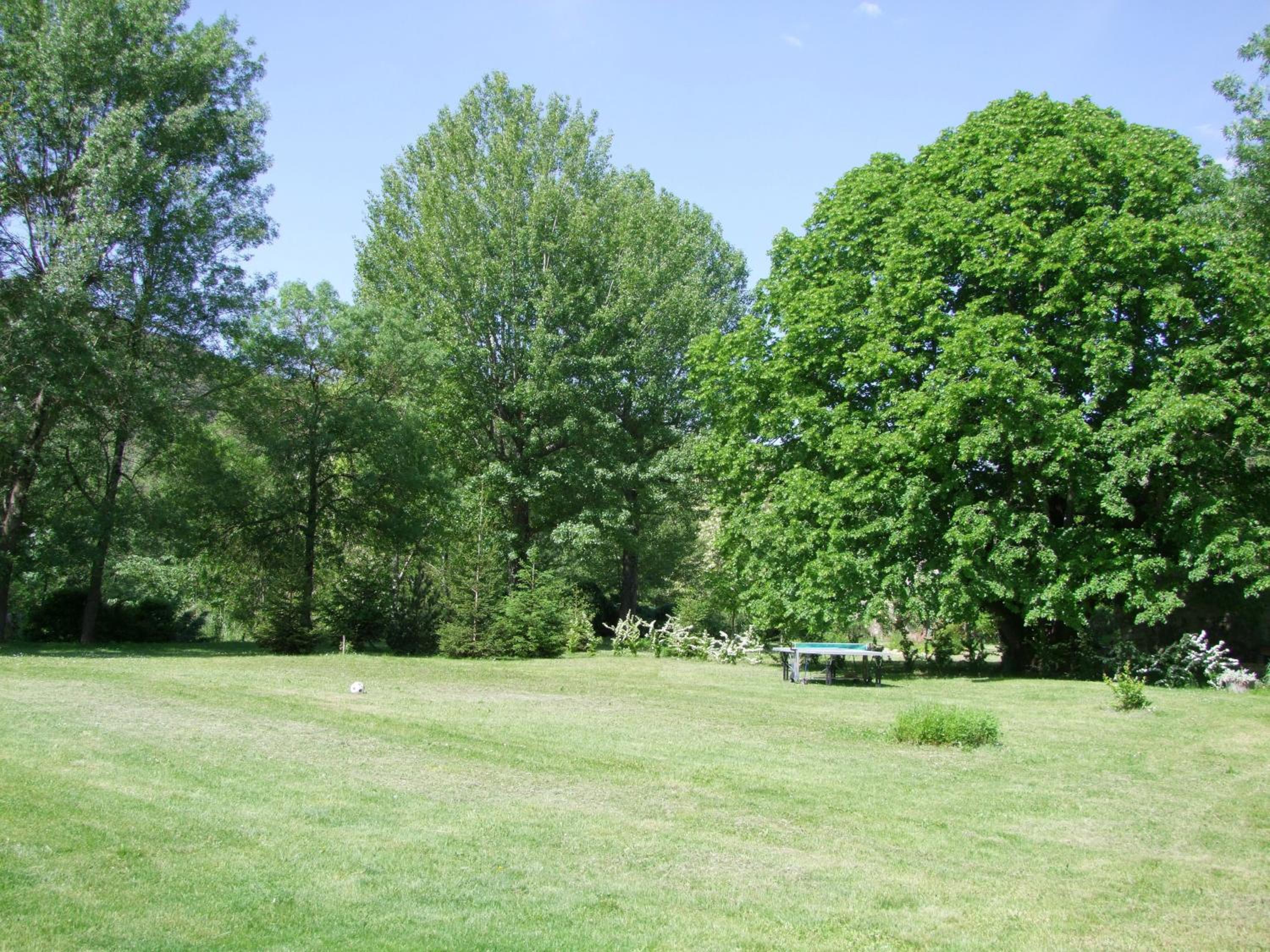 Photo 24