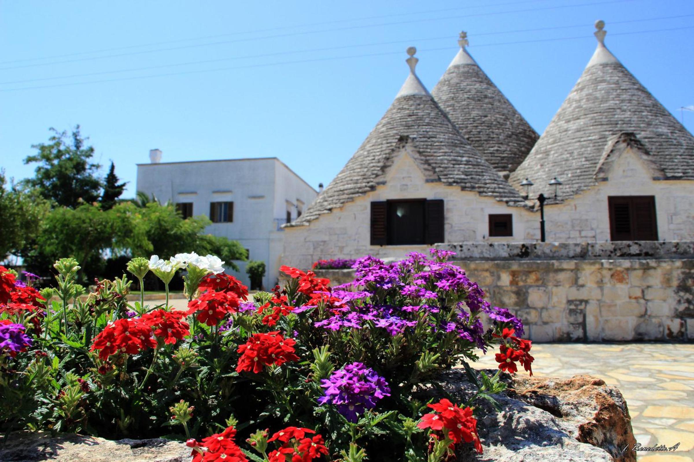 Masseria Peppeturro