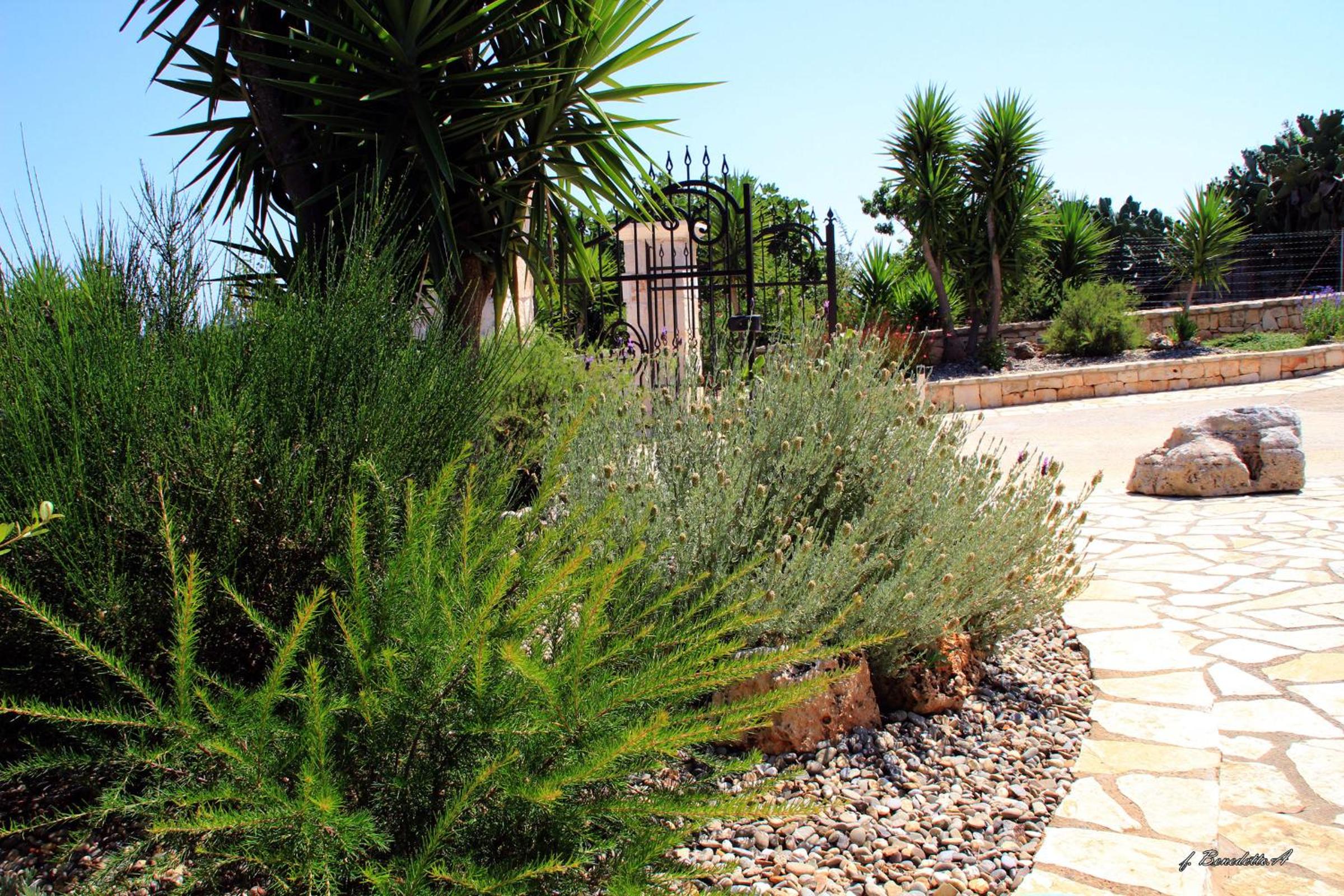 Masseria Peppeturro