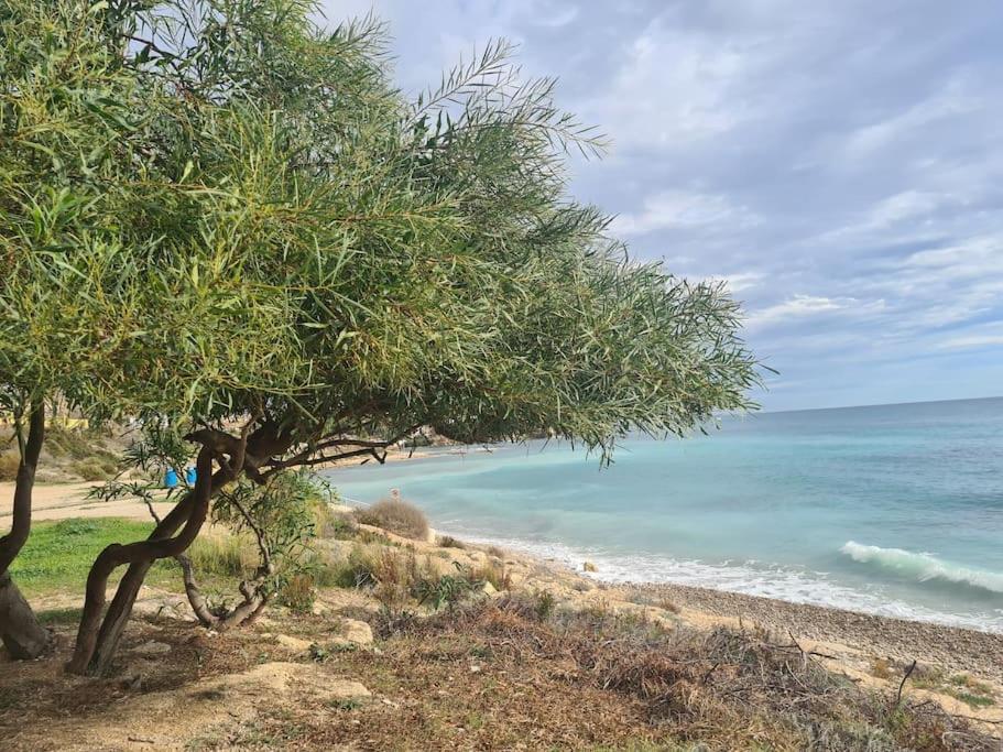 Alkabir Playa Kate's Beach House