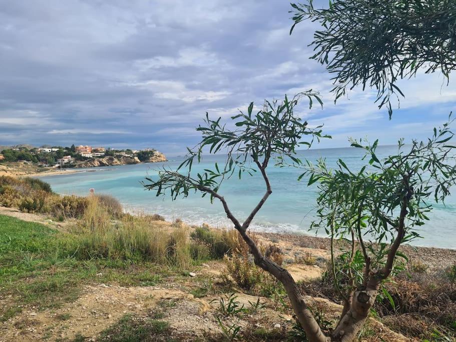 Alkabir Playa Kate's Beach House