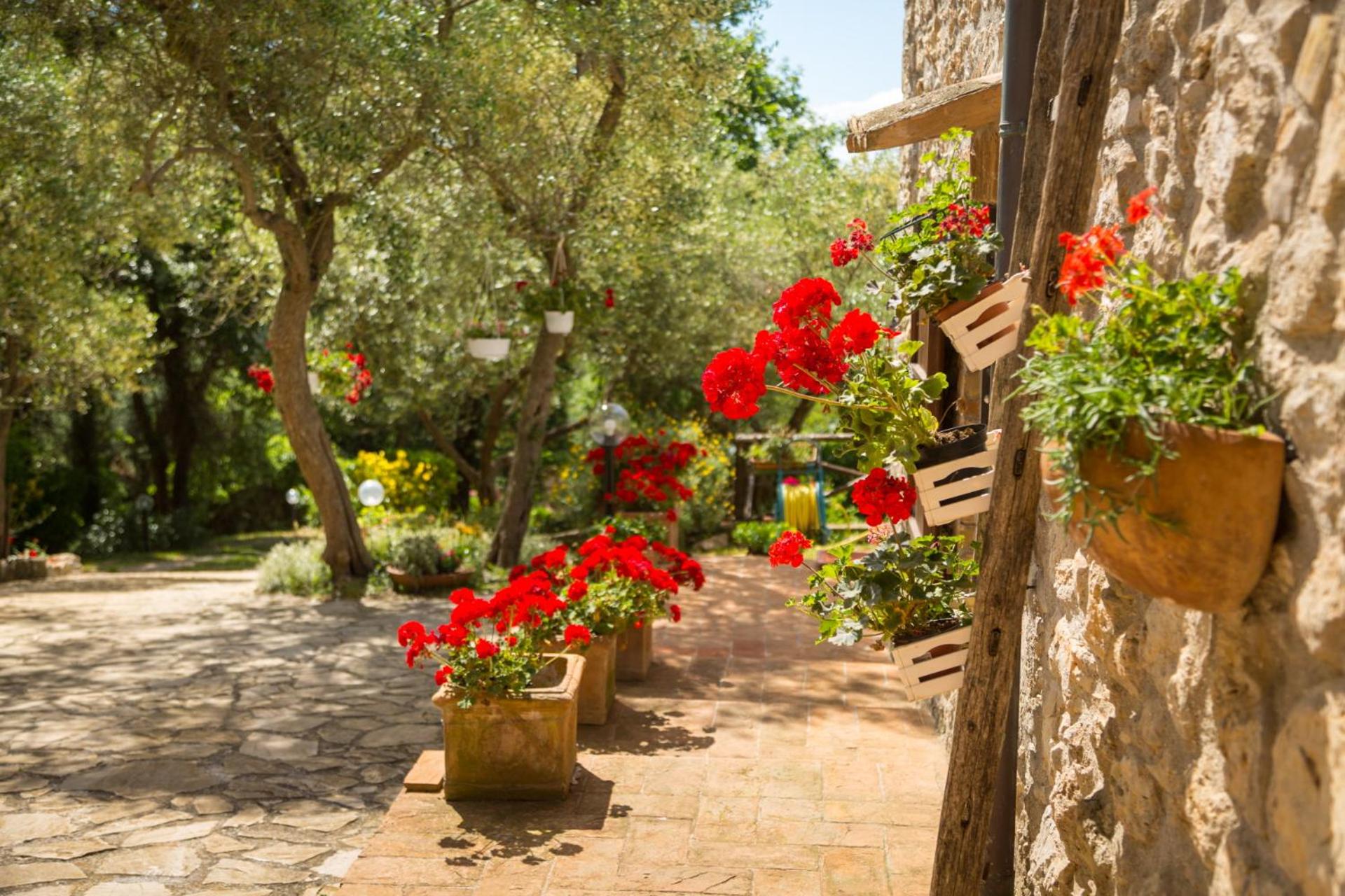 Casa tra le Querce view 2