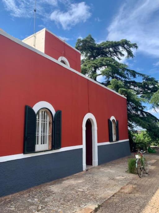 Casina foggia dell'albero view 2