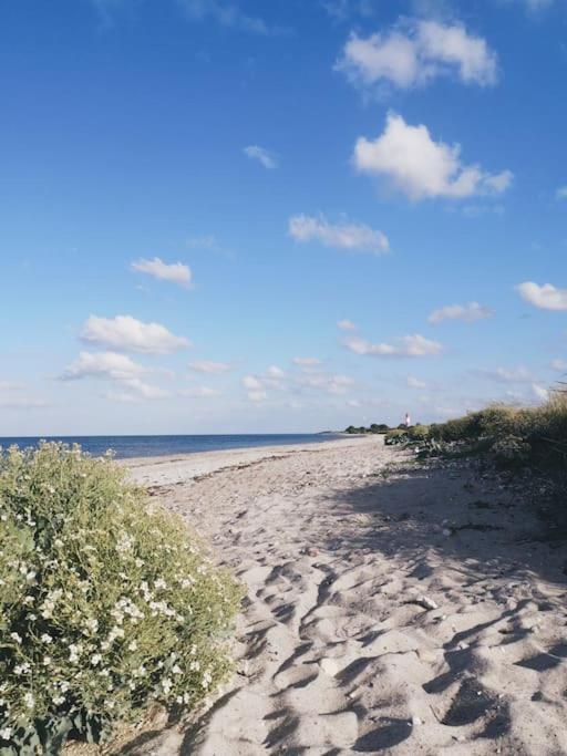 Urlaub auf einem alten Resthof am Meer