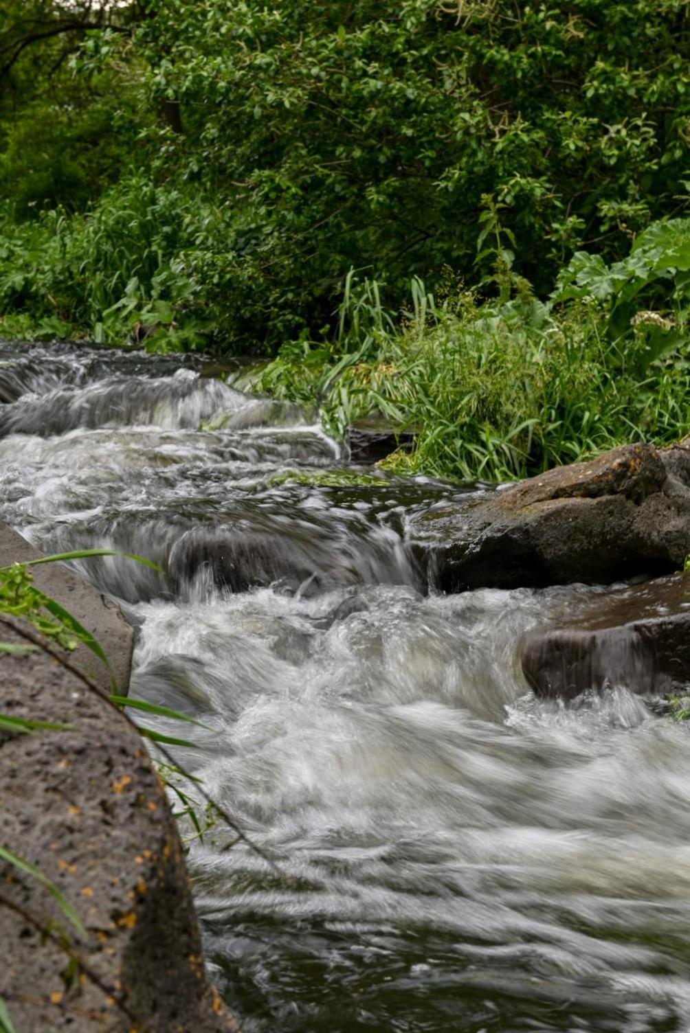 River Home