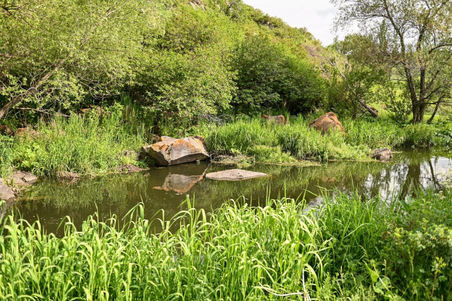 River Home