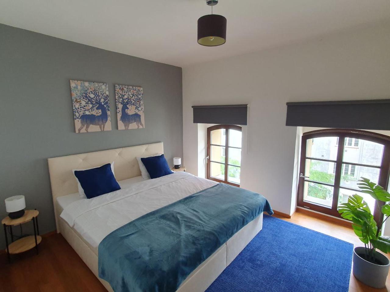 Penthouse with terrace near the center of Prague