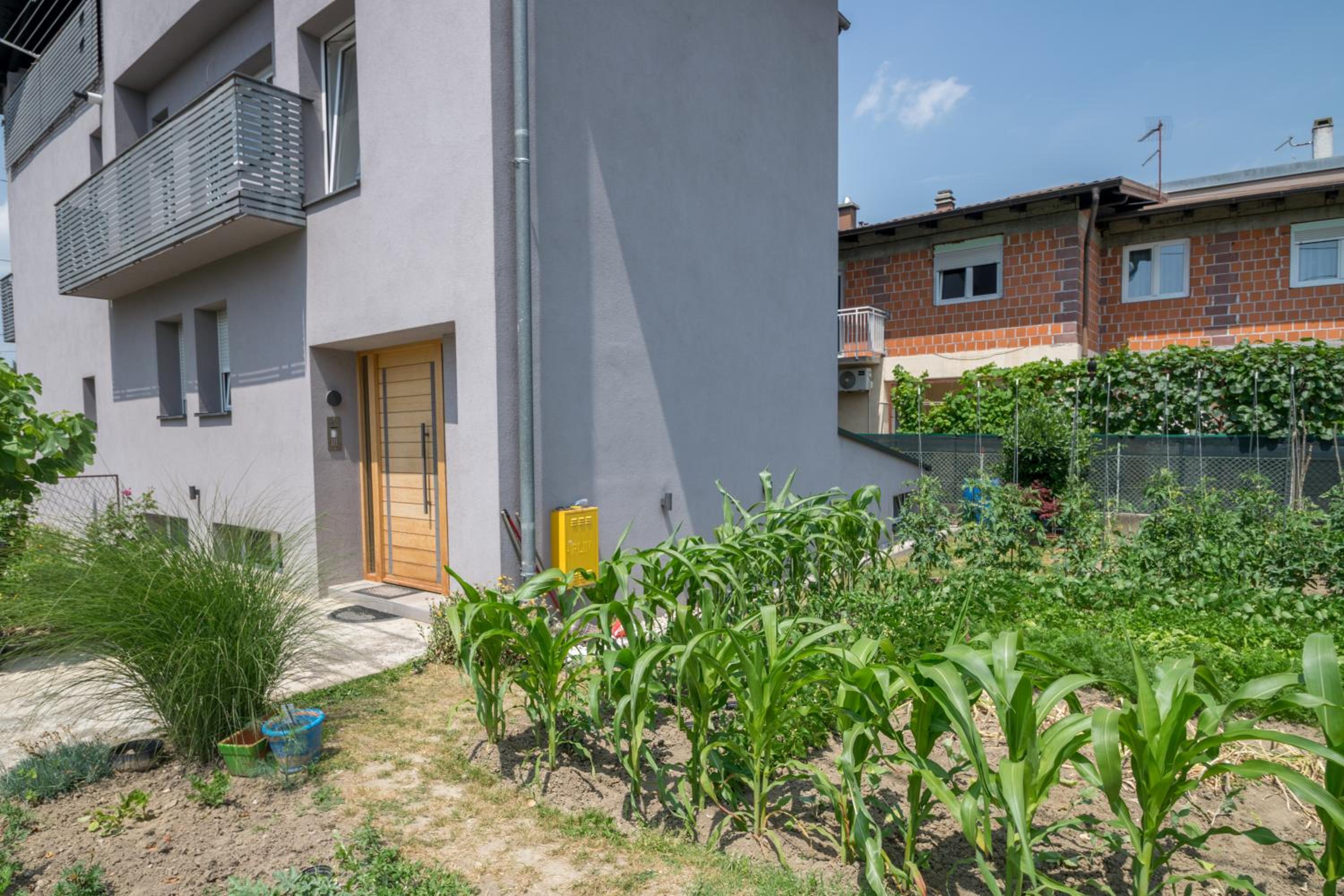 POMODORO ROOMS