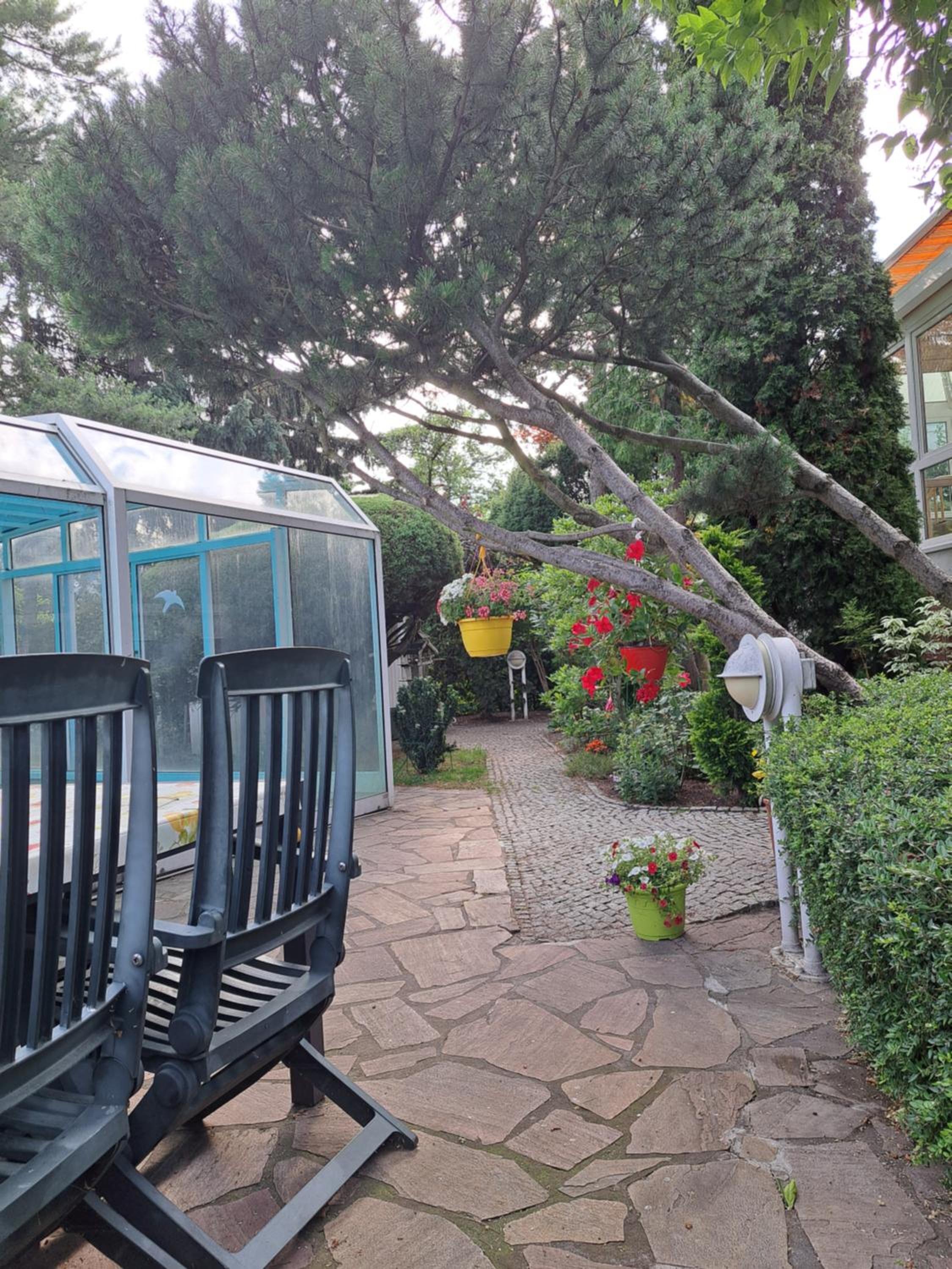 Apartment Kastanienallee Rosenthal photo 5