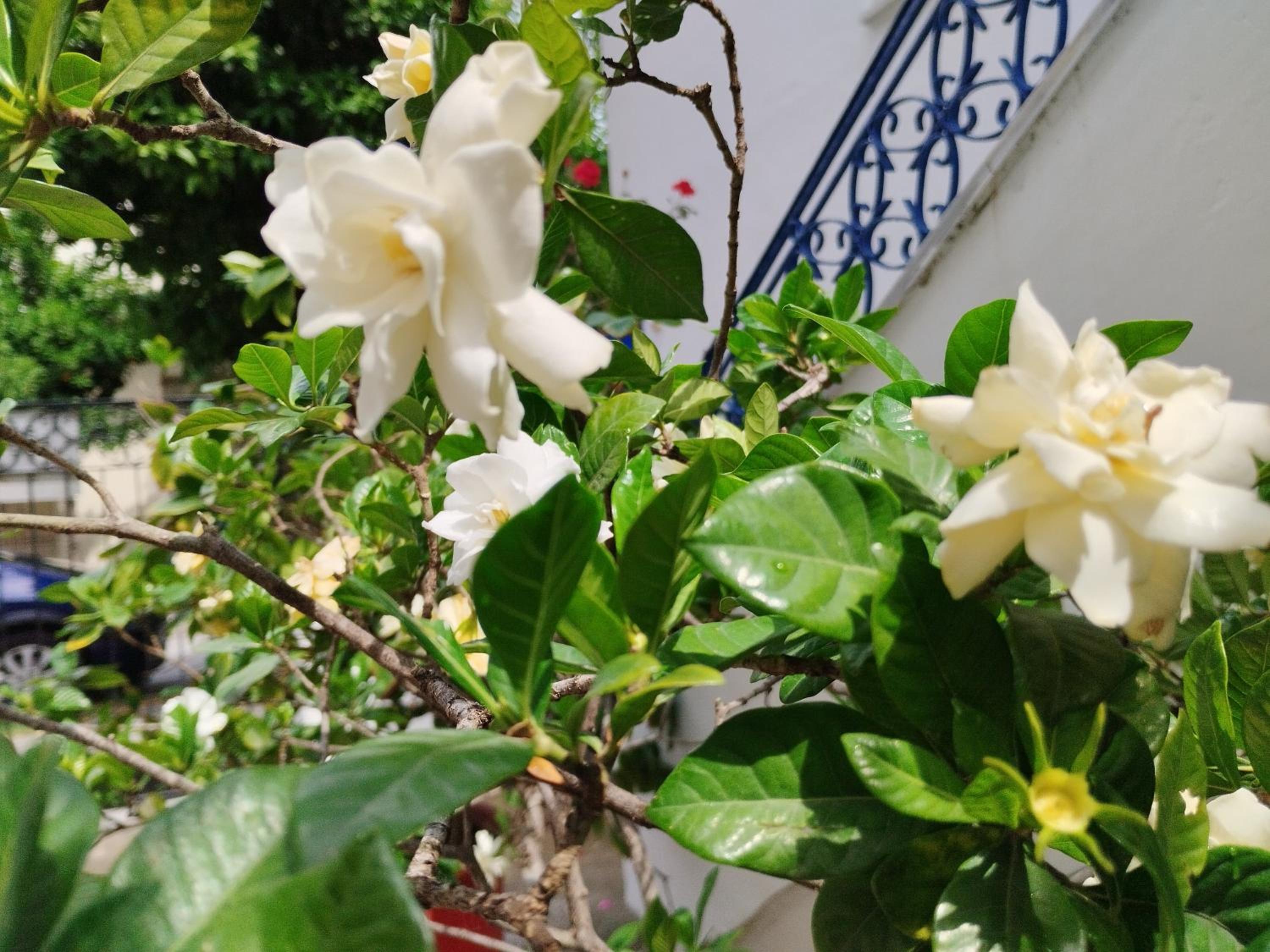 Η Ελπίδα και η Γιάννα ξεκίνησαν ένα χώρο cute view 4