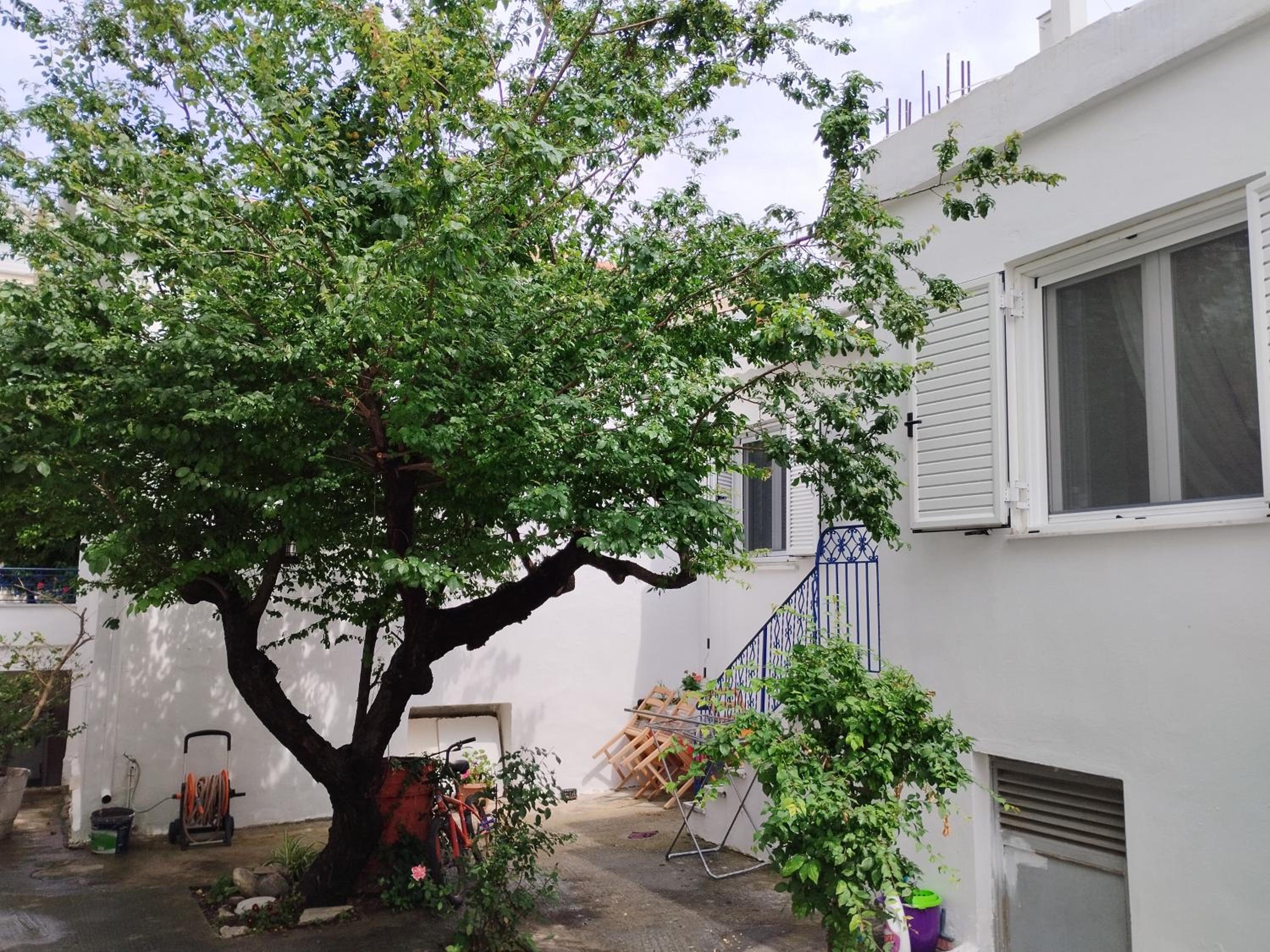 Η Ελπίδα και η Γιάννα ξεκίνησαν ένα χώρο cute view 3