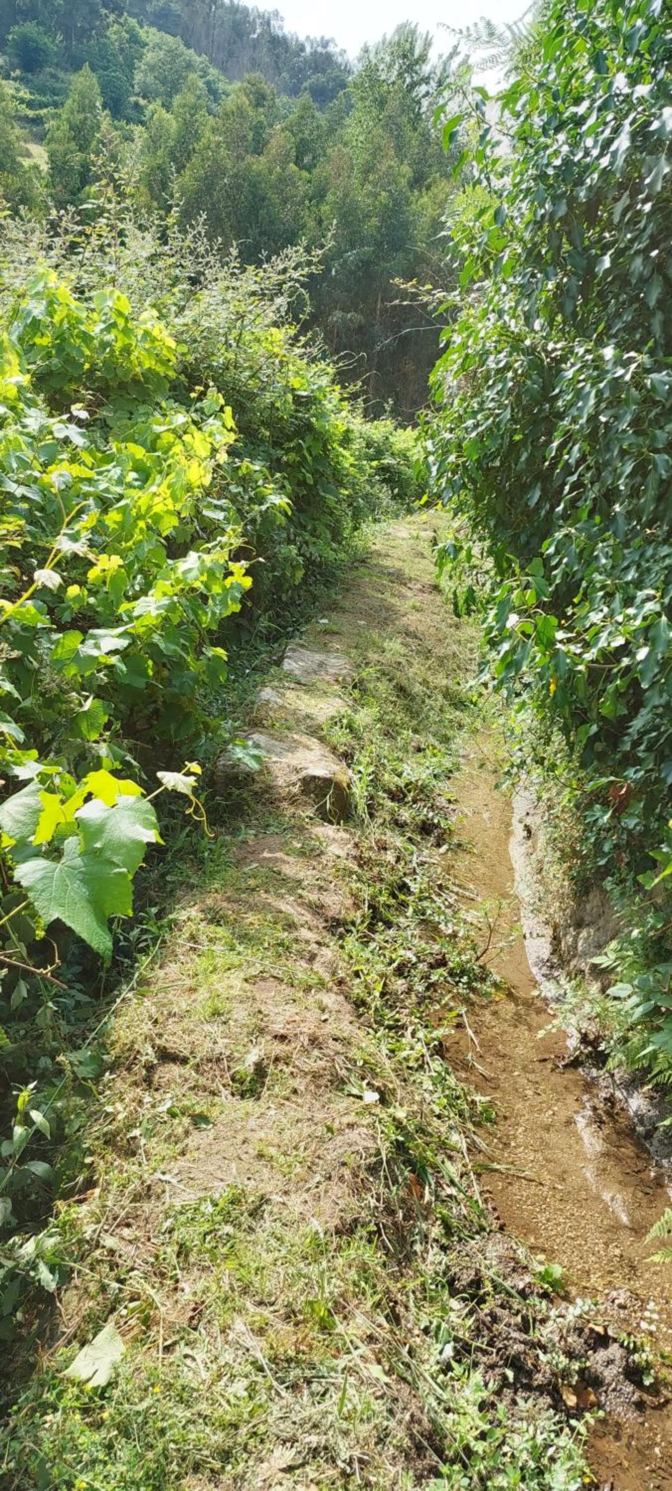 Photo 43