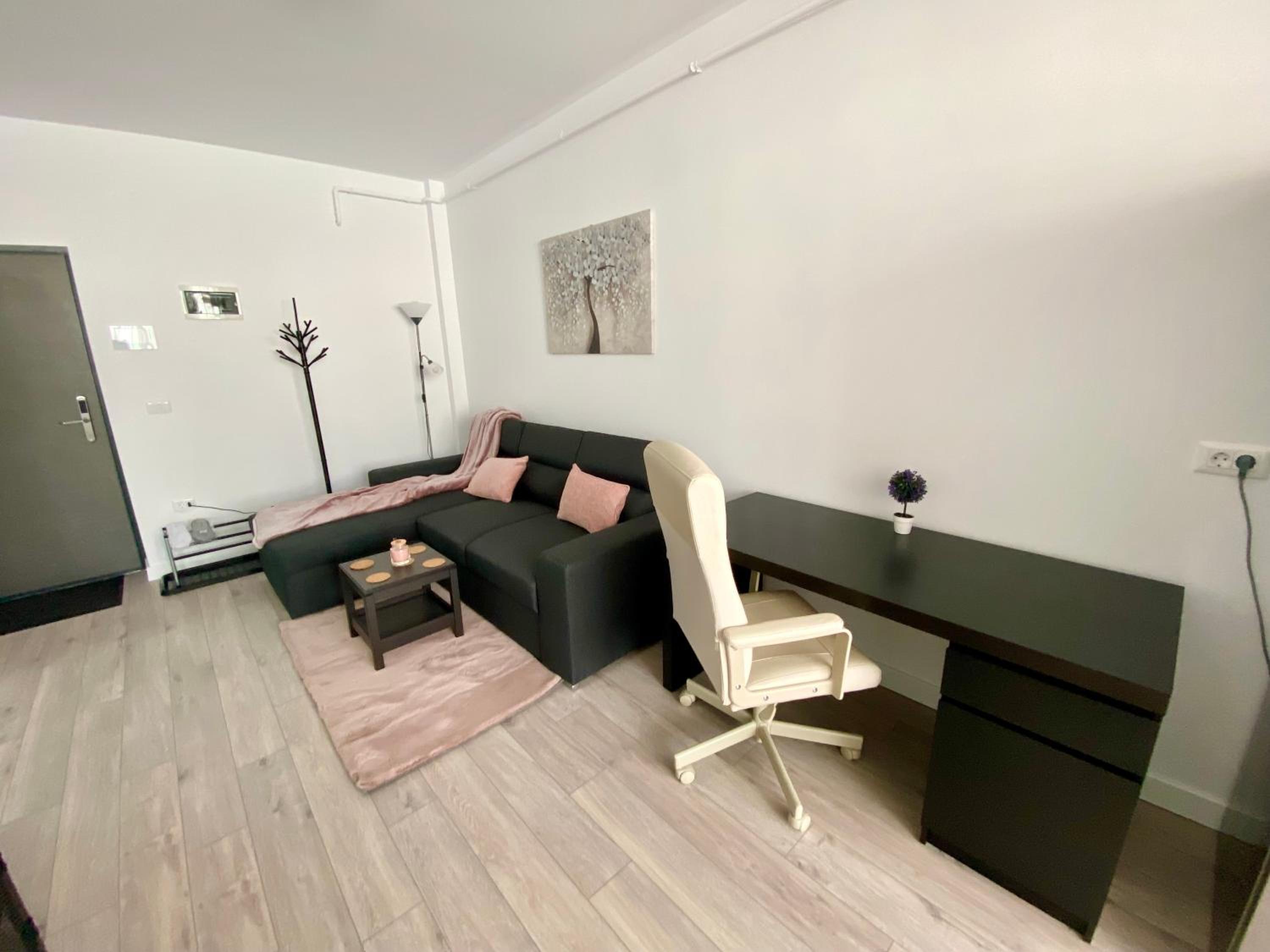 Angela Nordic apartment. view 4