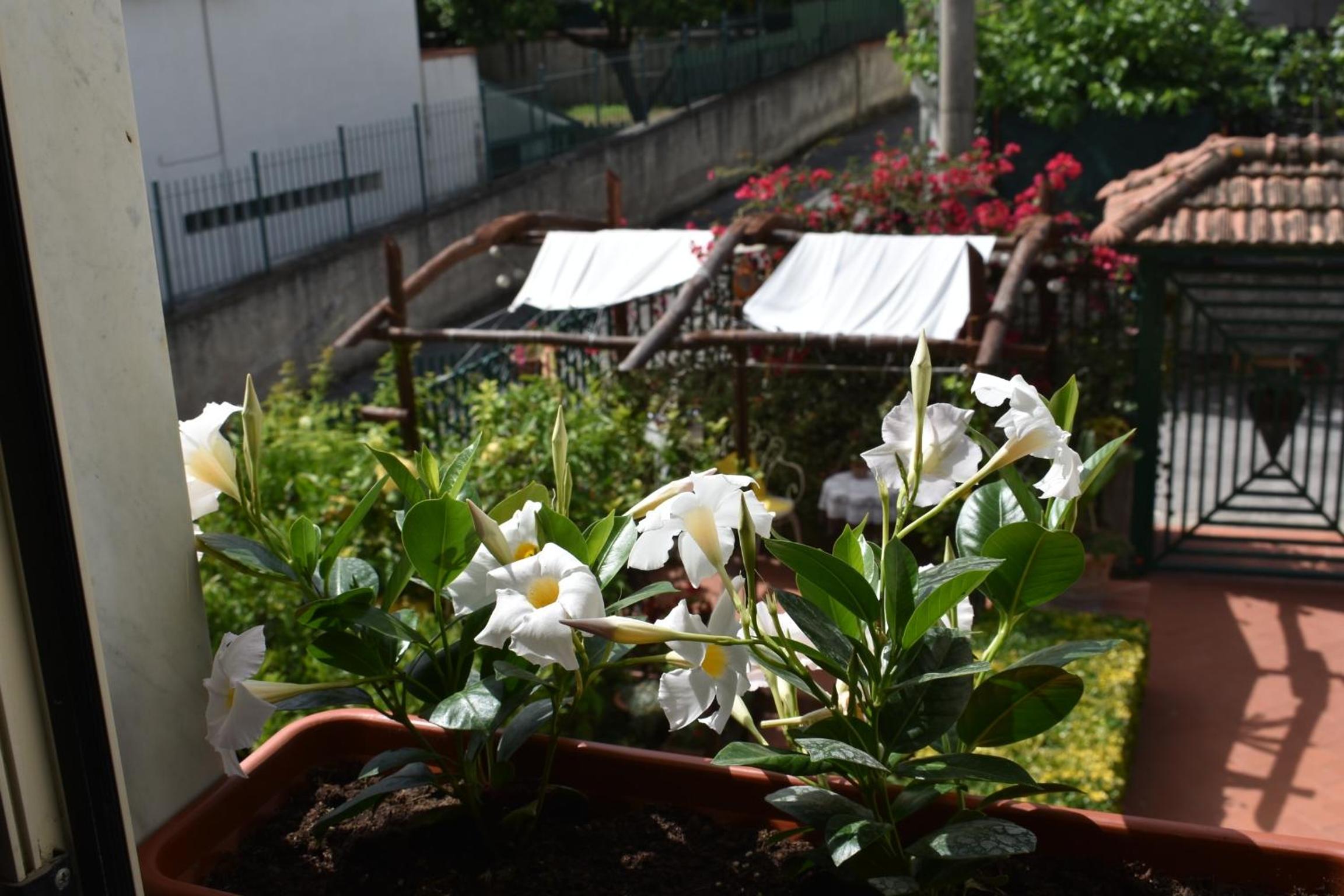 Villa Di Martino