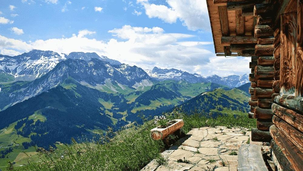 Edelweiss 4 Zi Ferienwohnung in Landhaus