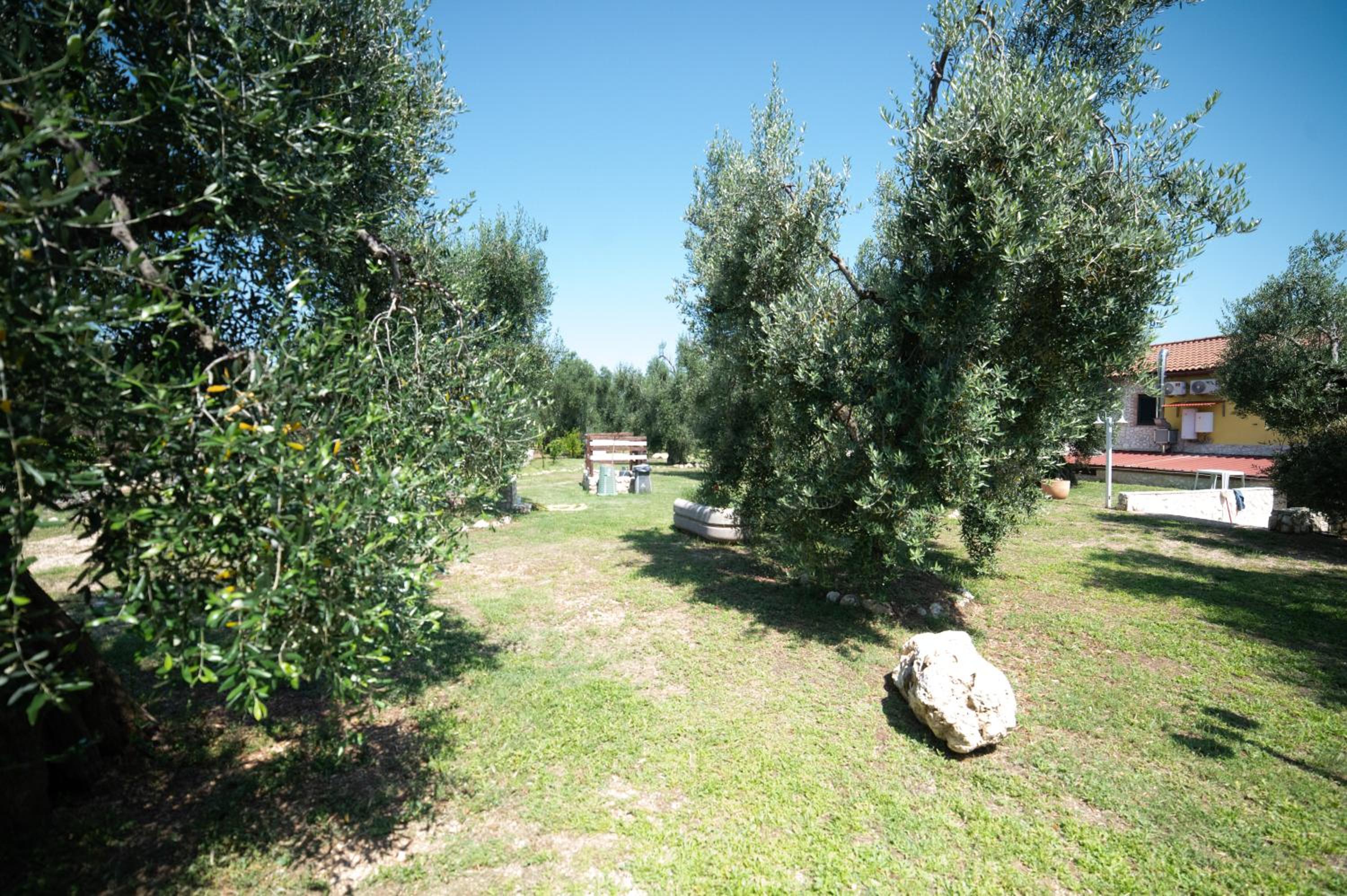 Coppola Rossa Relax