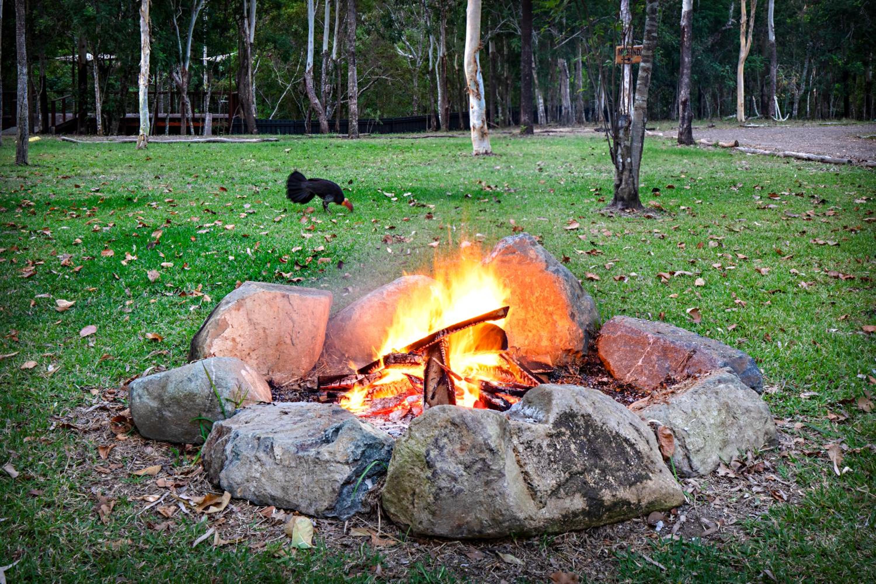 Airlie Beach Eco Cabins - Adults Only