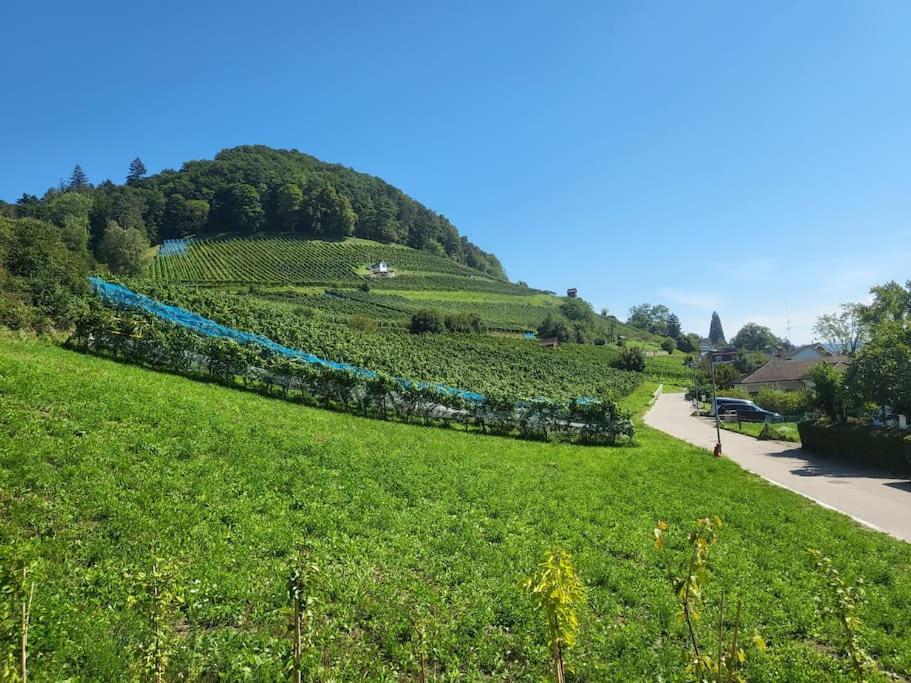 Schöne Einliegerwohnung 200m vom Wasser entfernt