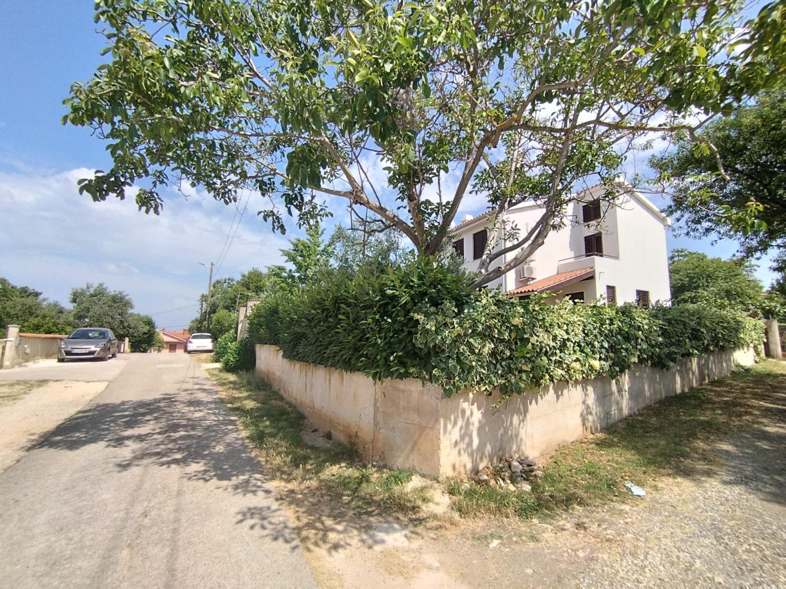 Photo 42
