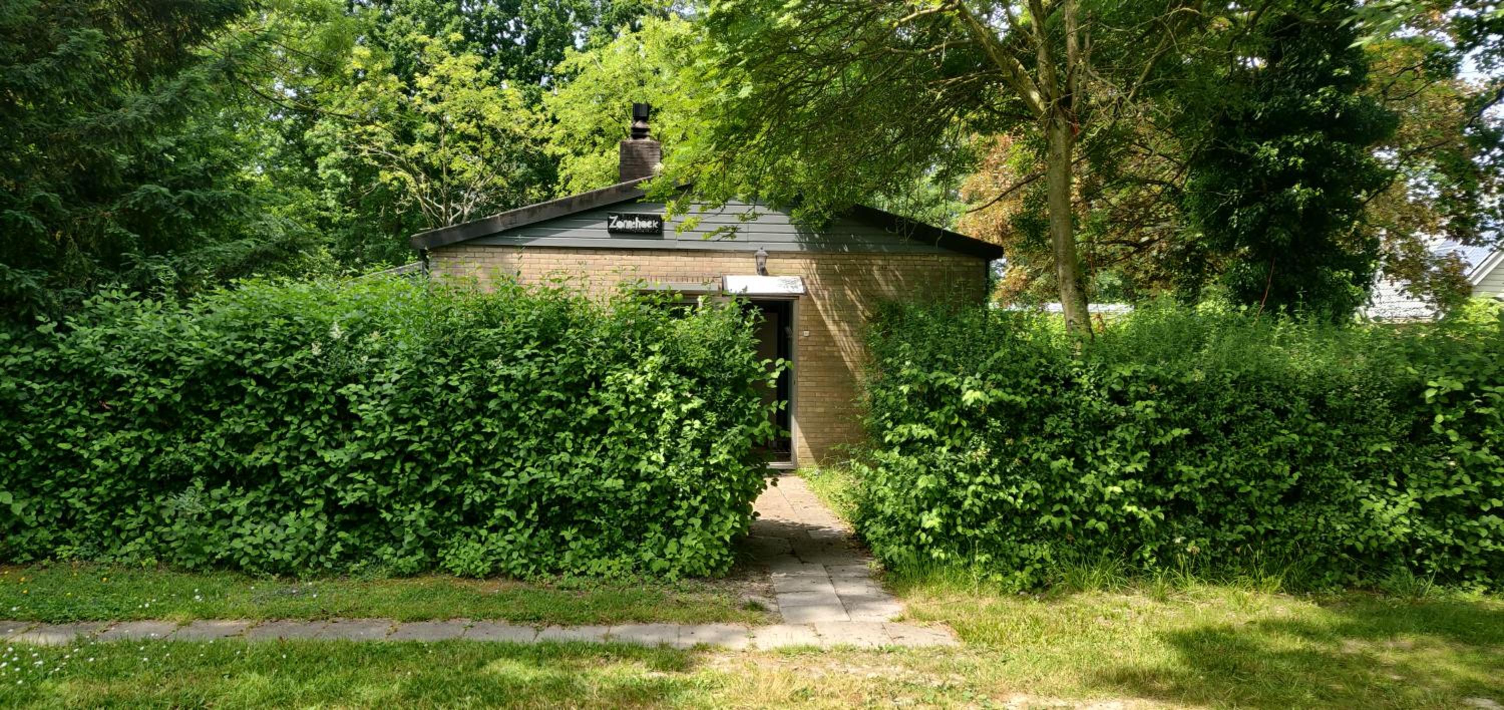 Photo 6