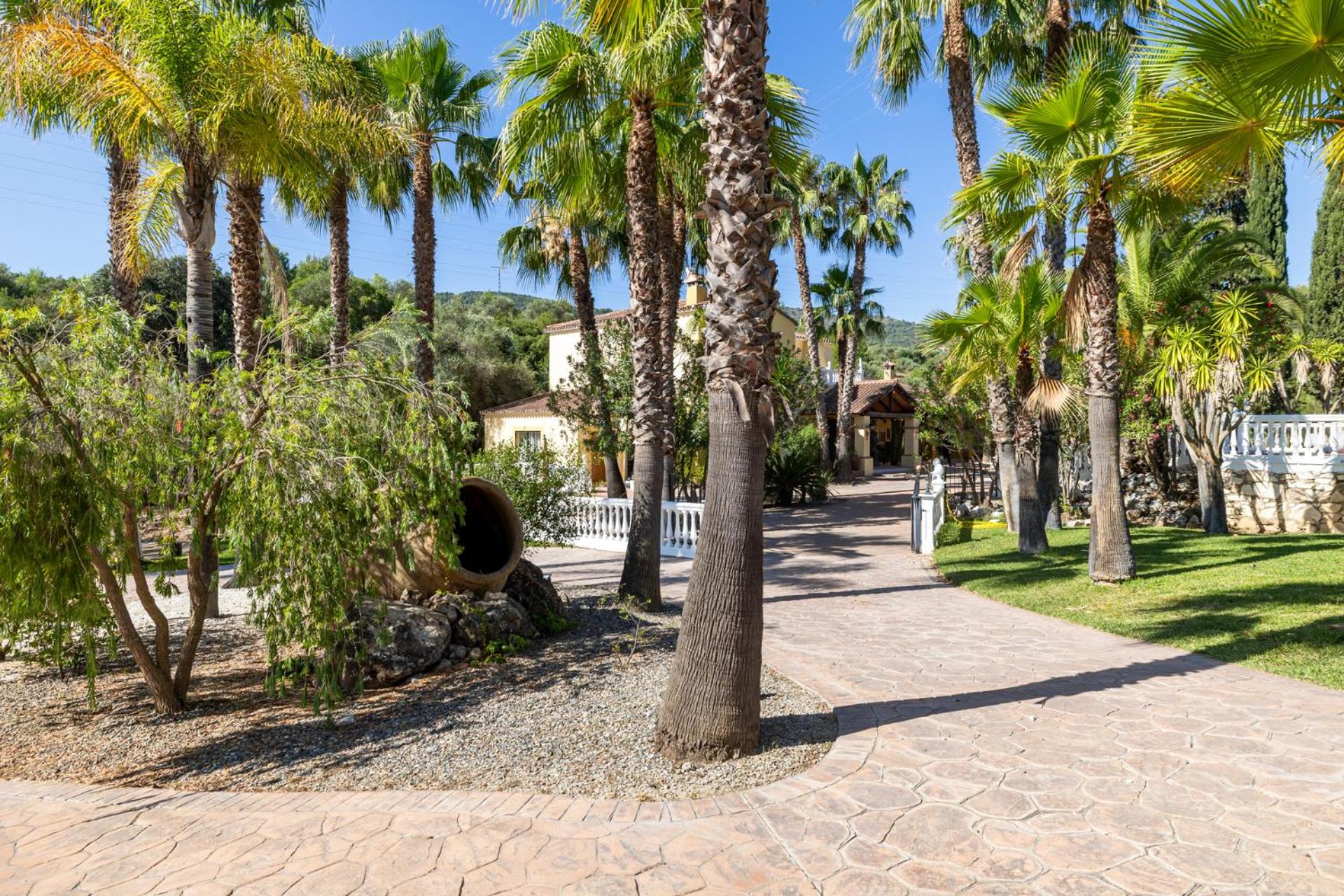 Hacienda De La Siesta