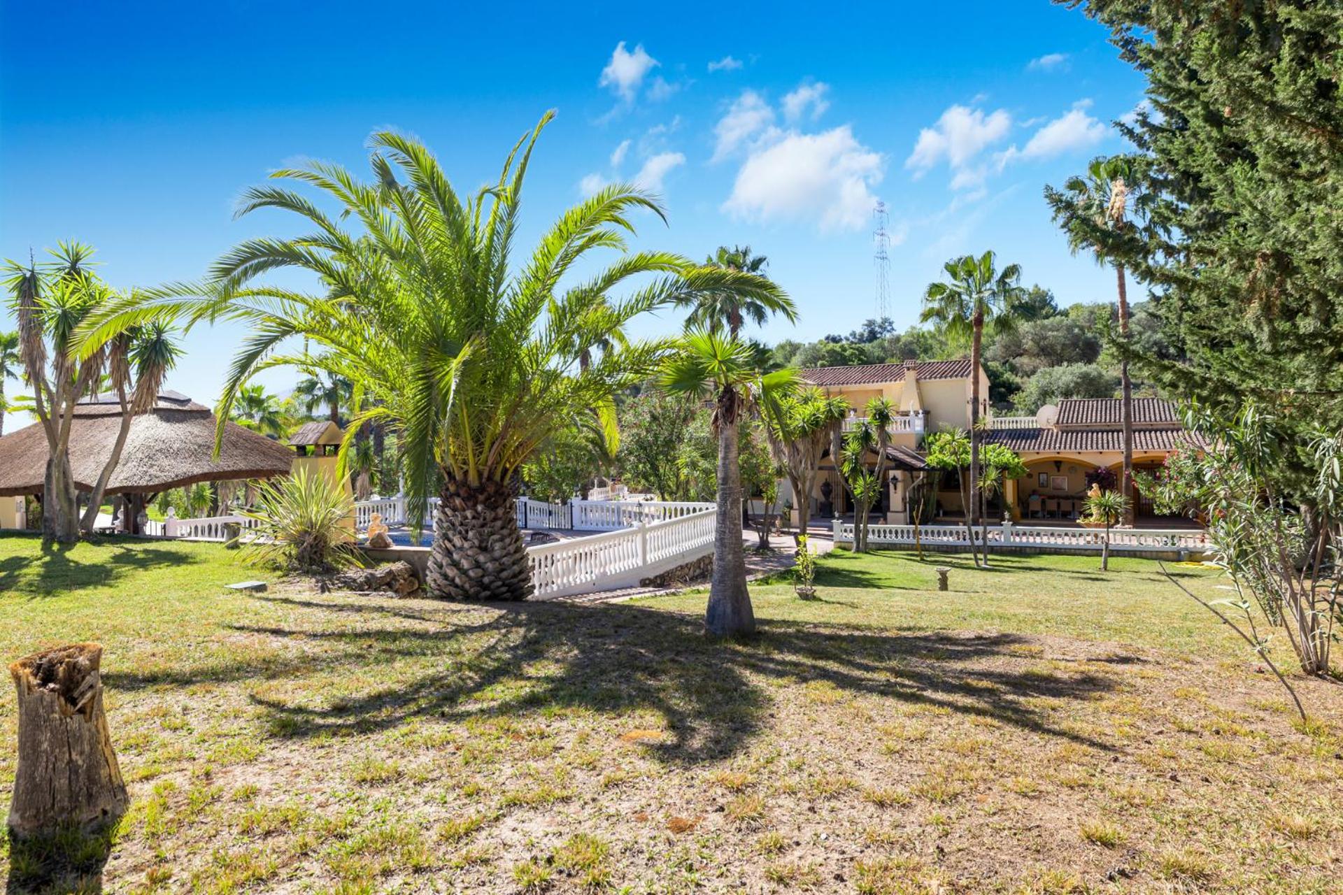 Hacienda De La Siesta