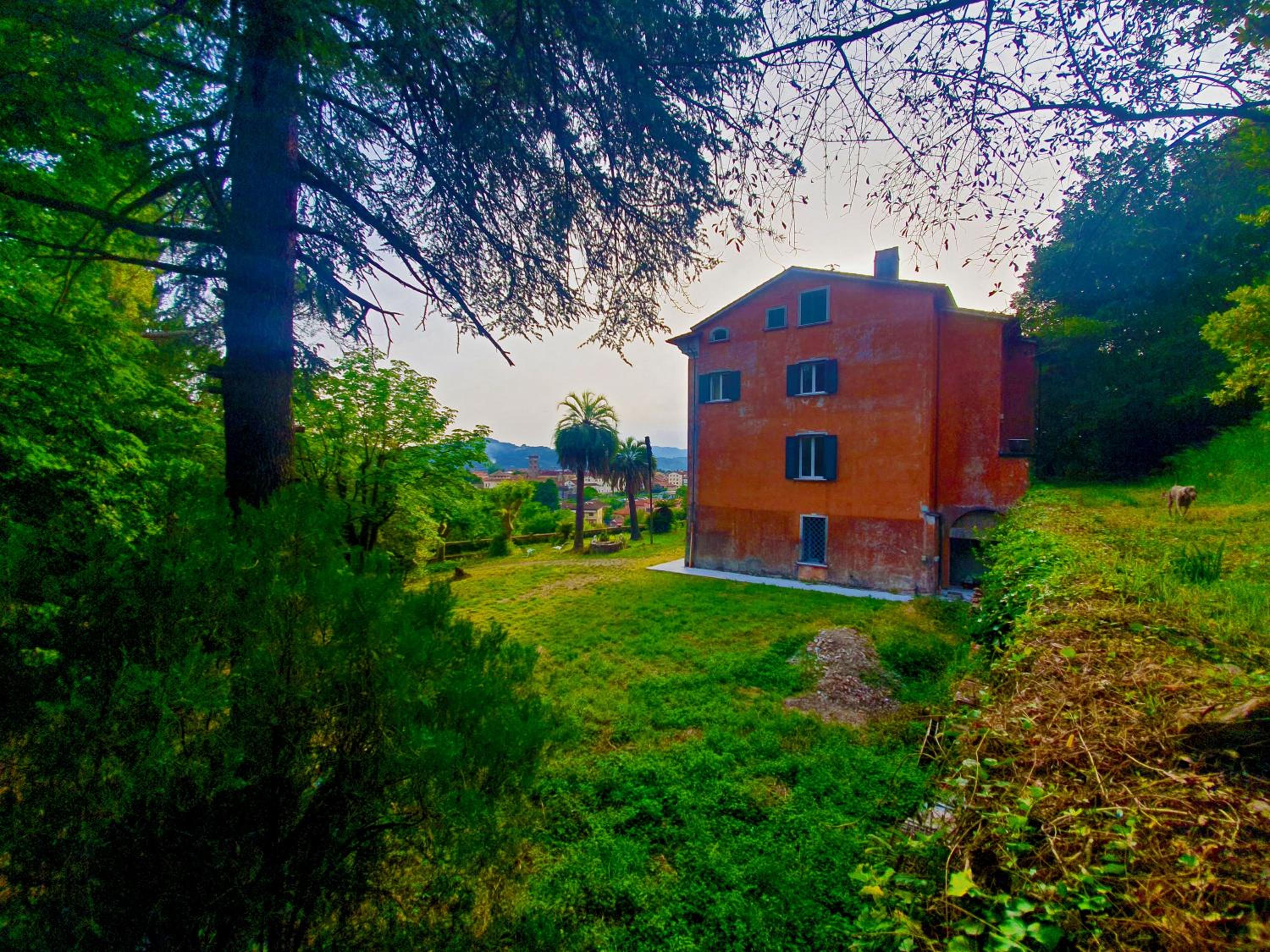 Photo 41