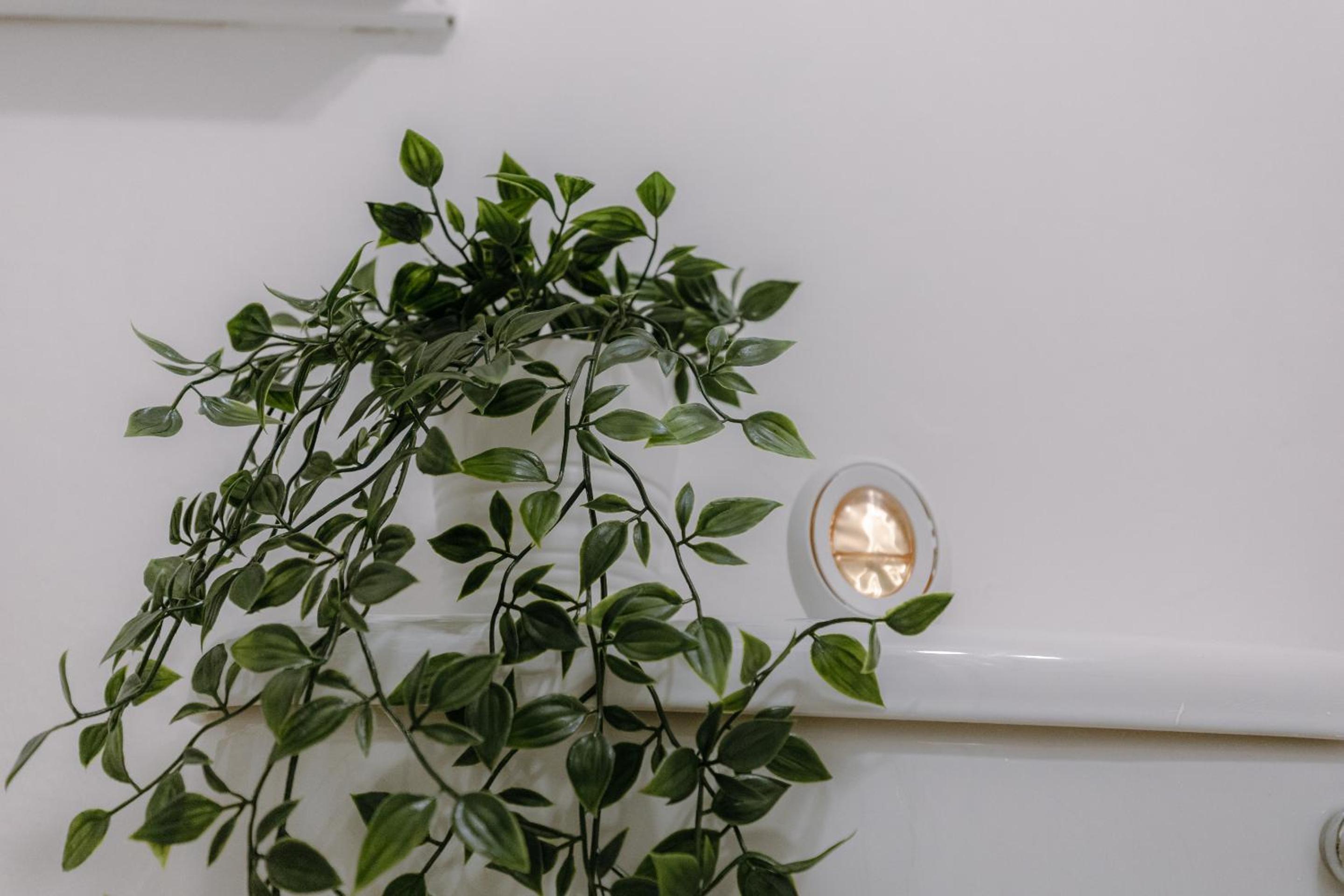 Guildford Vacations - Prime Living - Property Image 26